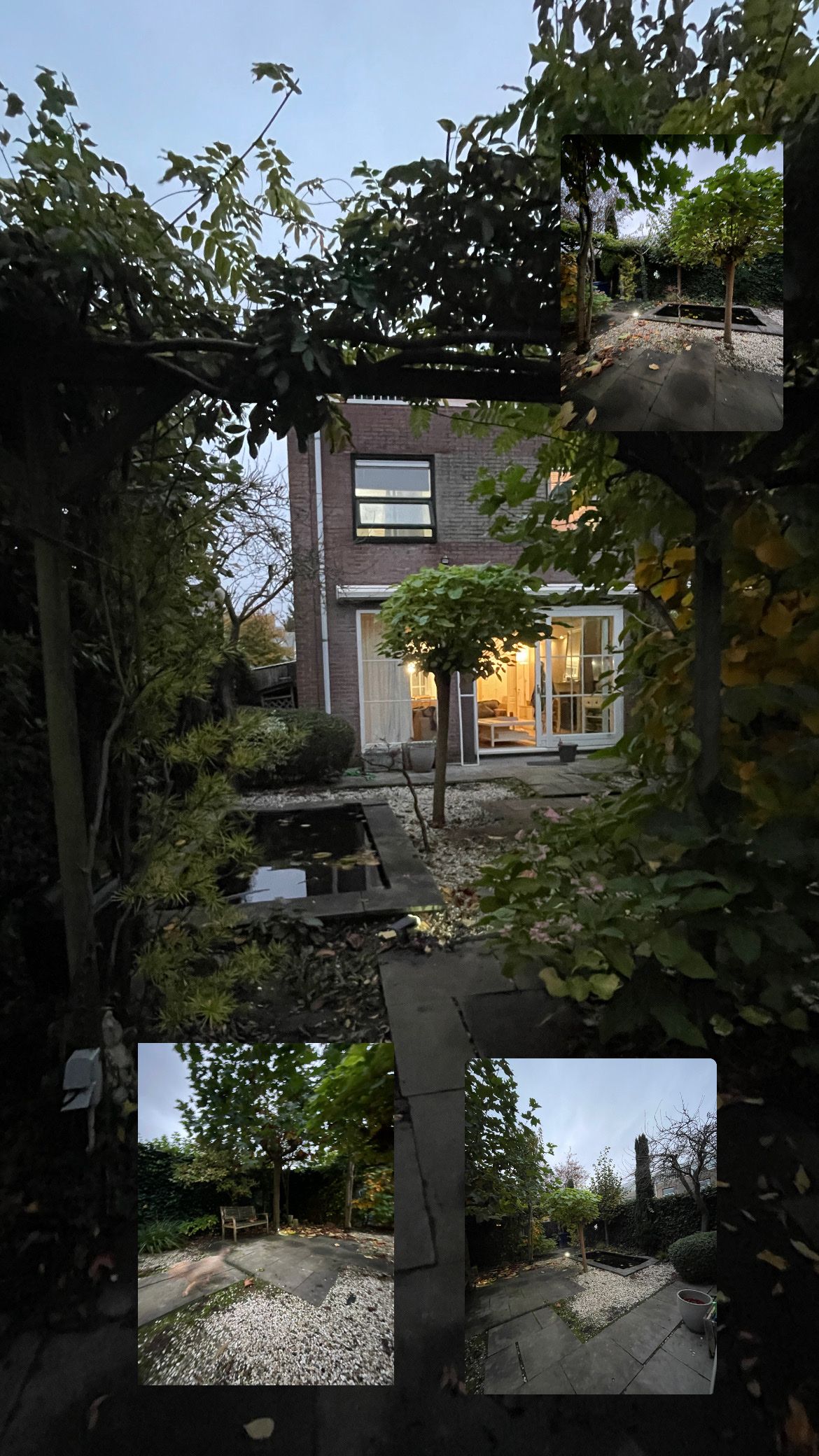 image-19