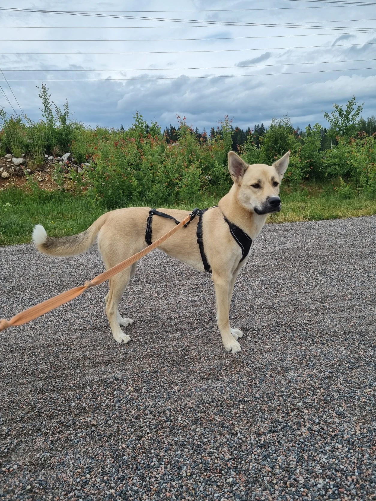 image-9
