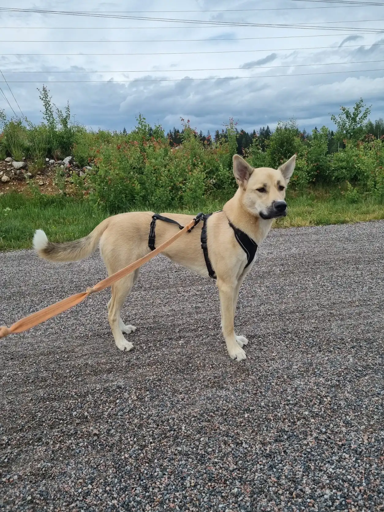 image-9