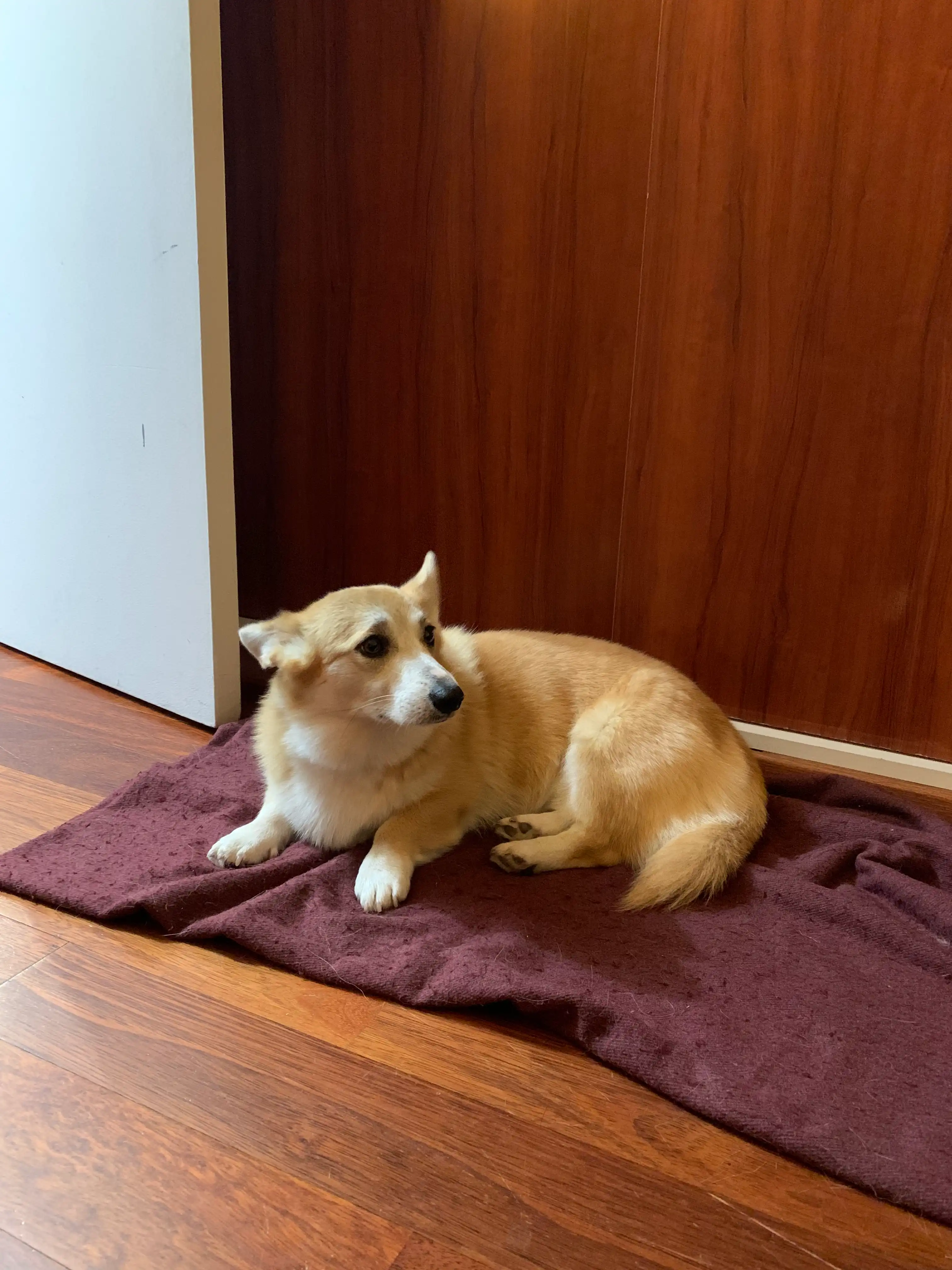 image-17