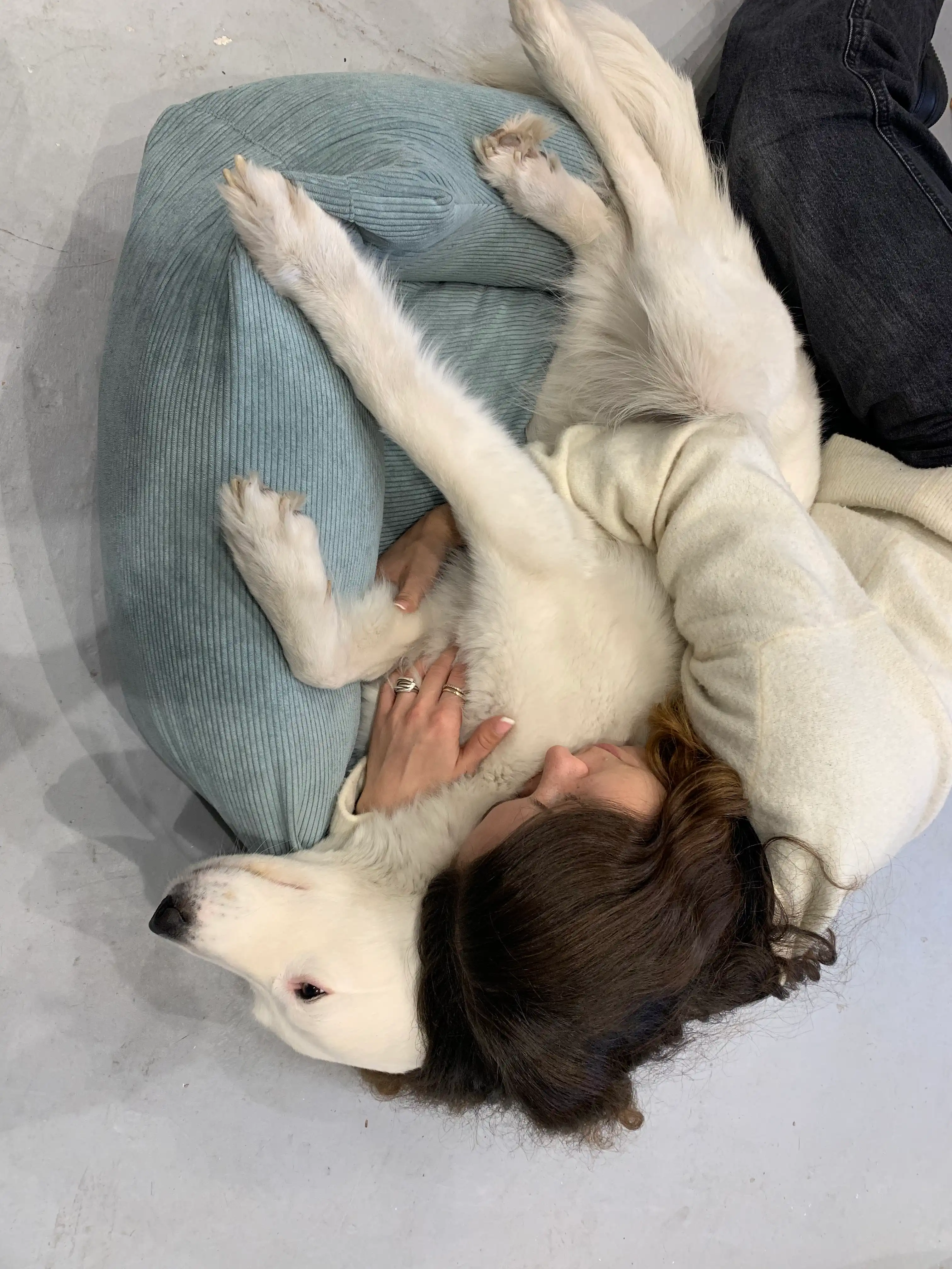 image-8