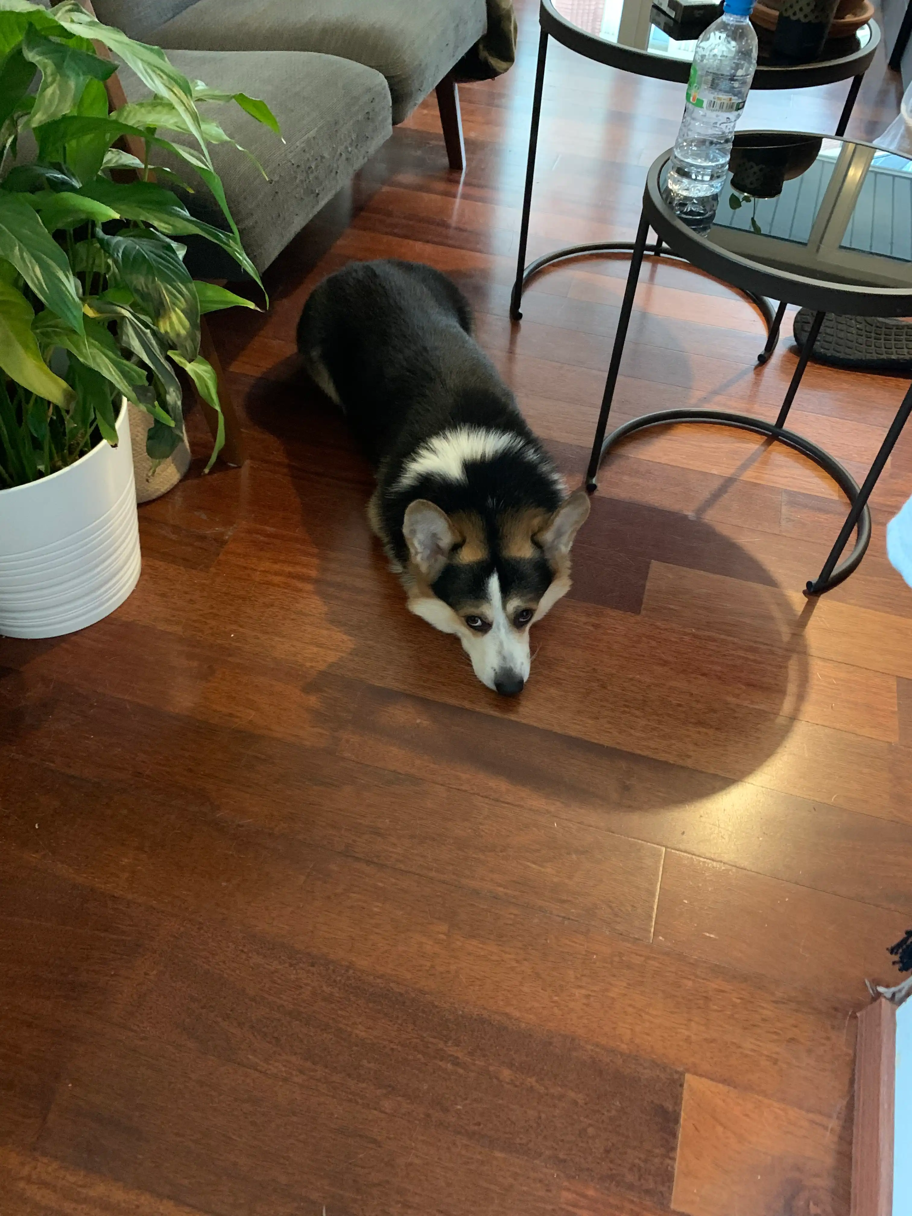 image-19