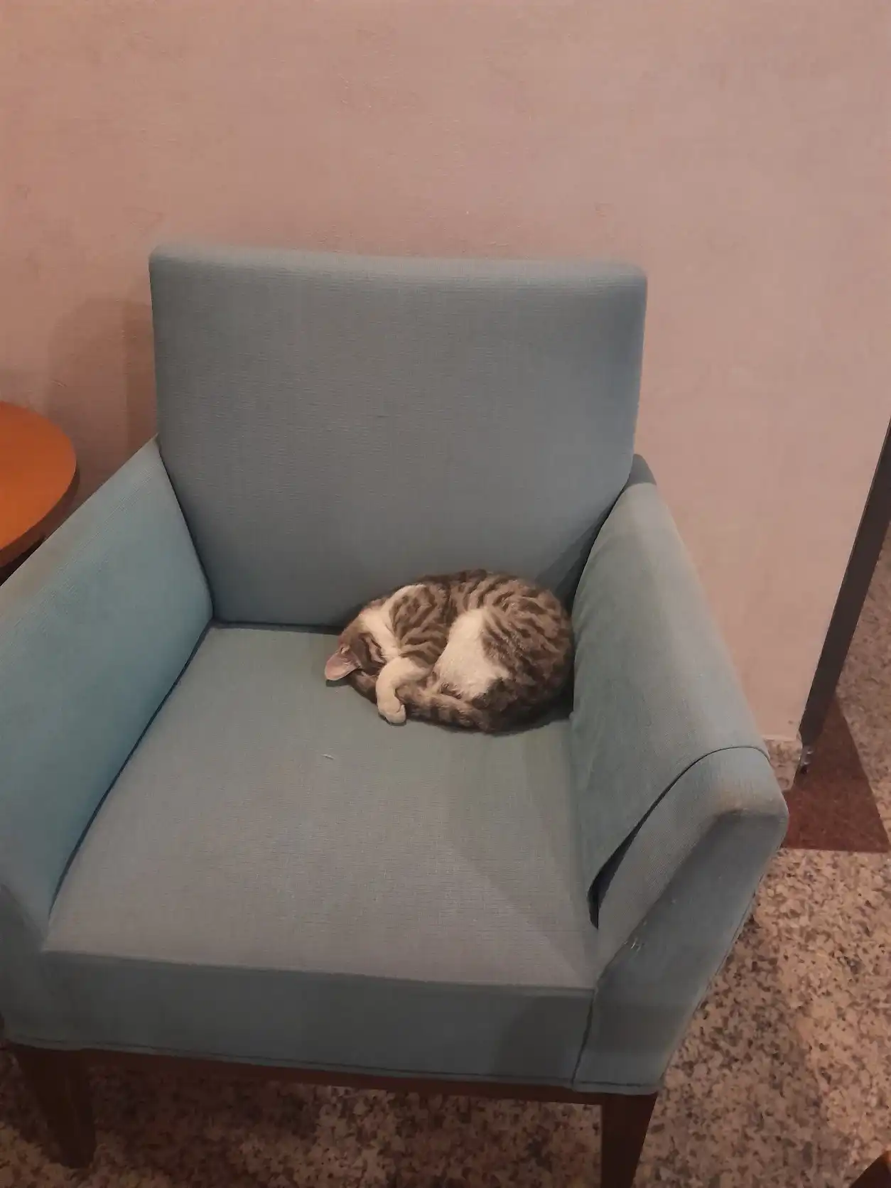 image-8