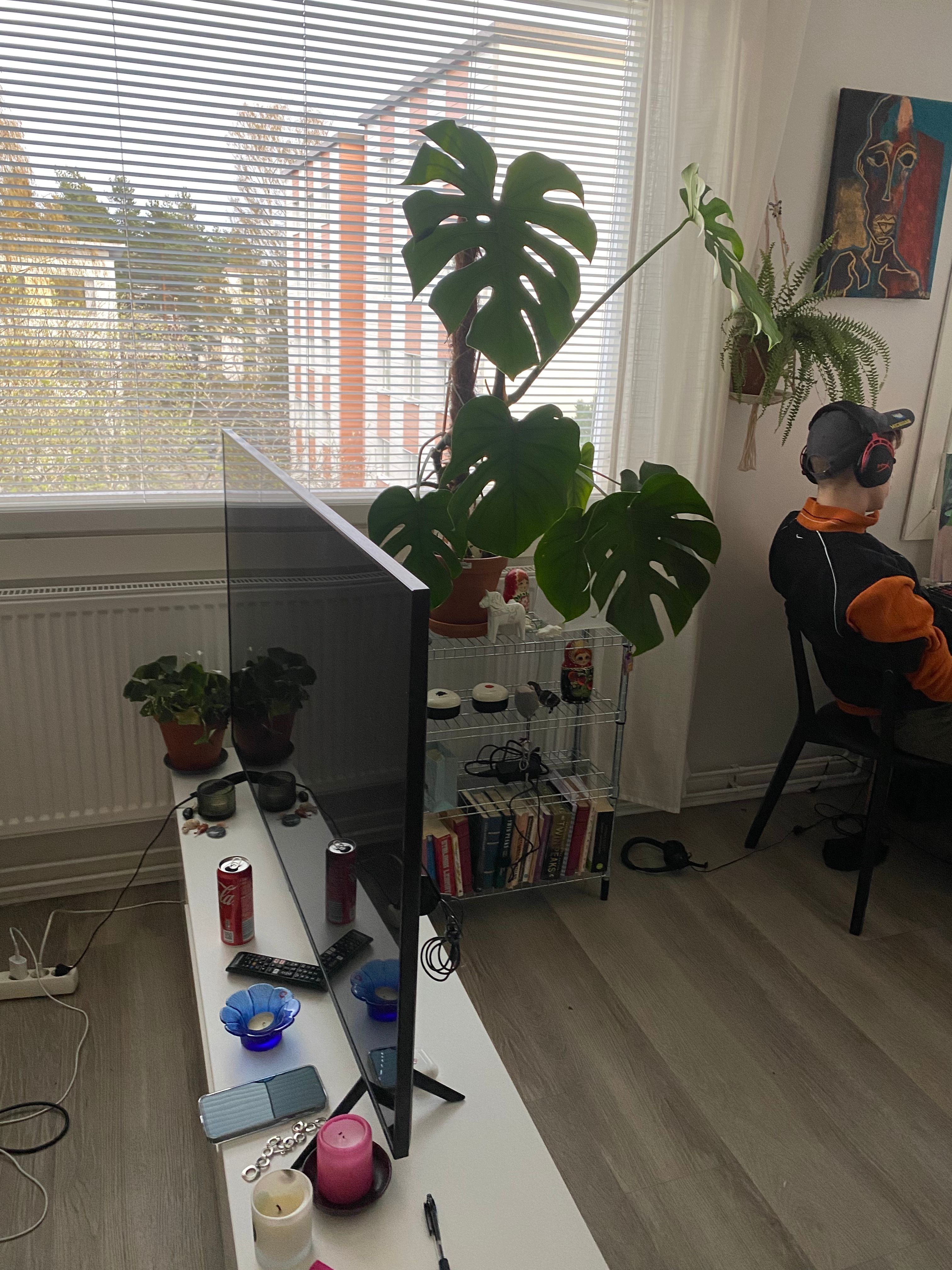 image-18