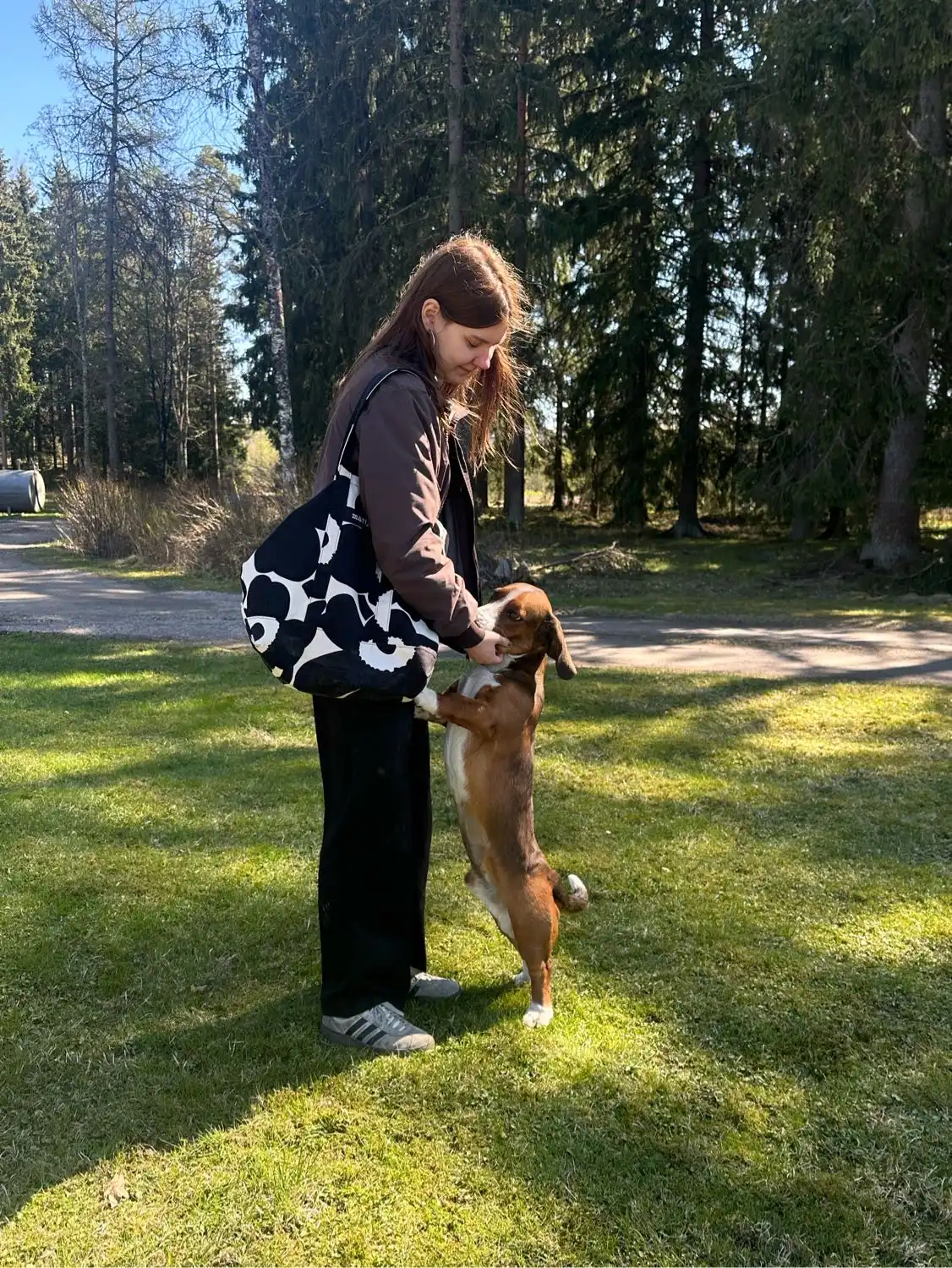 image-14