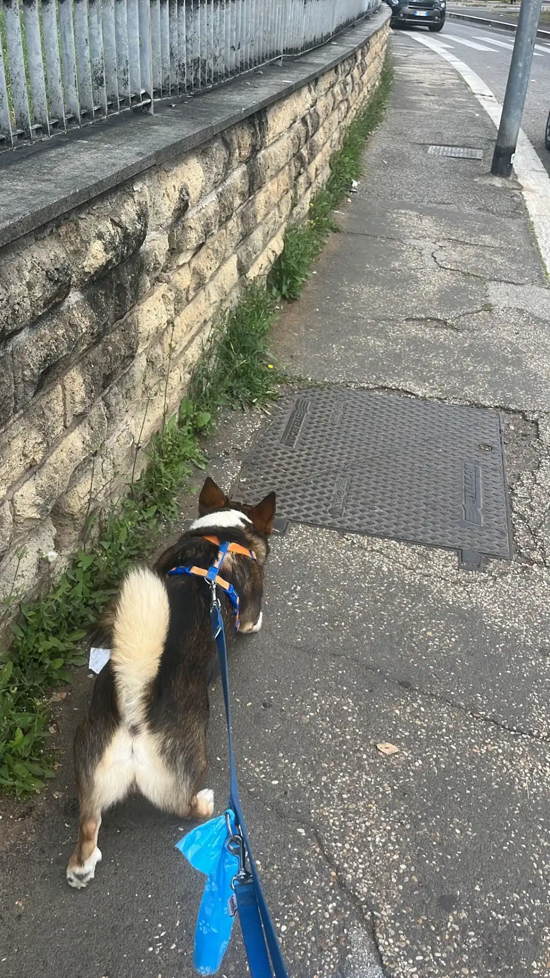 image-9