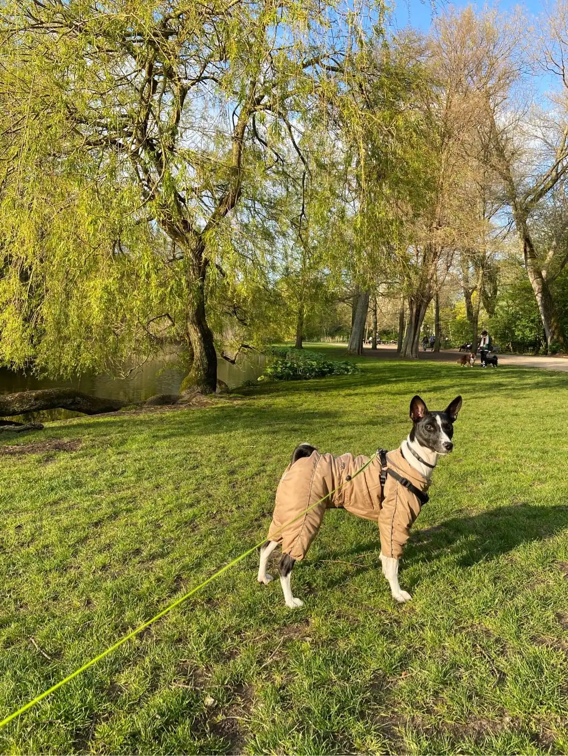 image-10