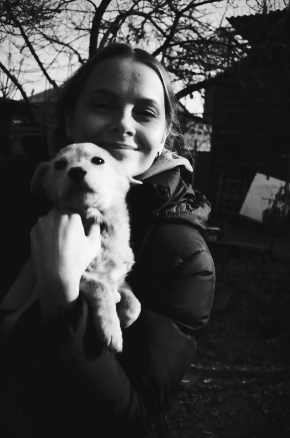 image-6