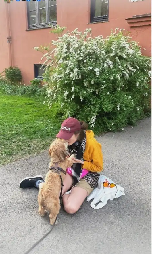 image-25