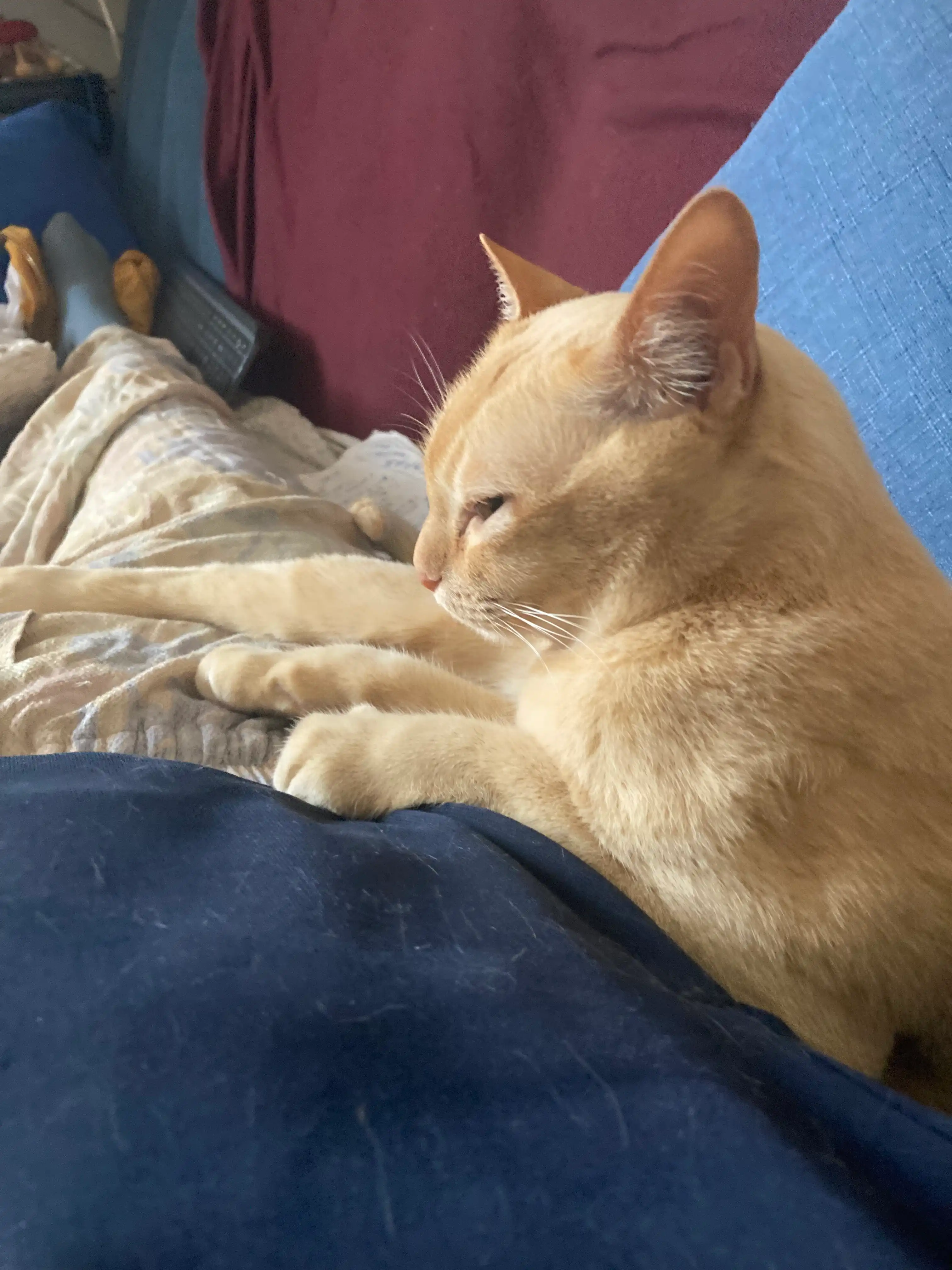 image-35