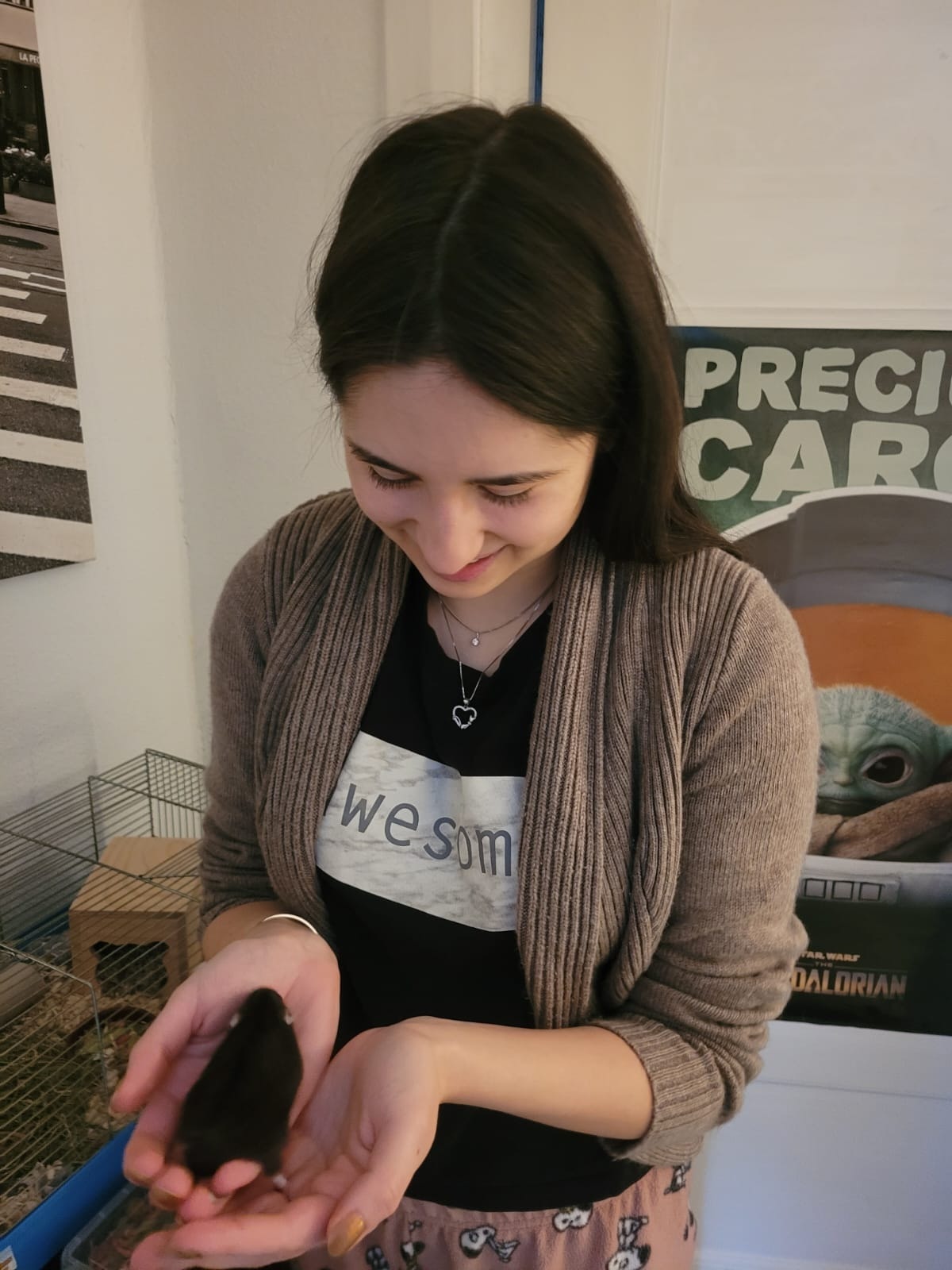 image-8