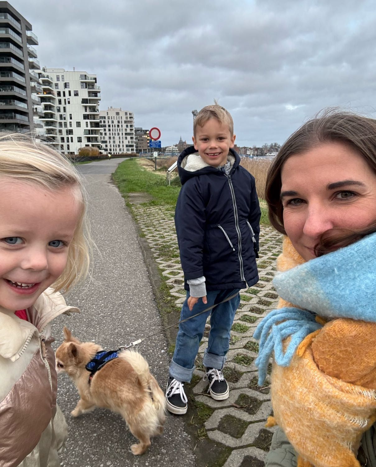 image-11