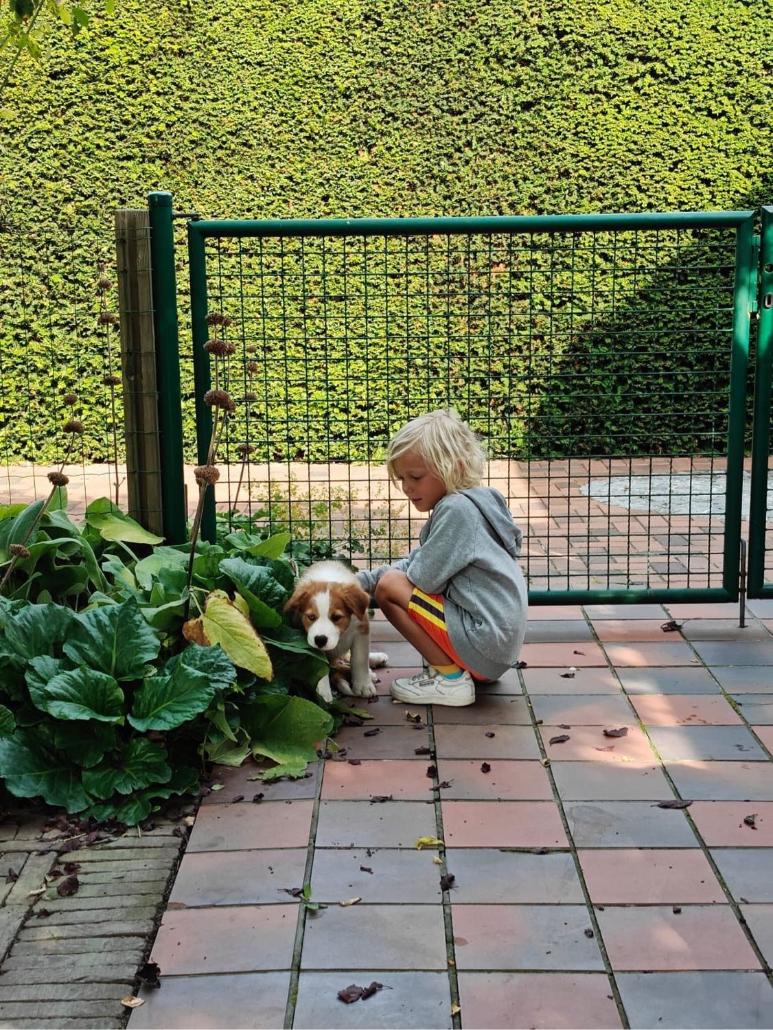 image-9