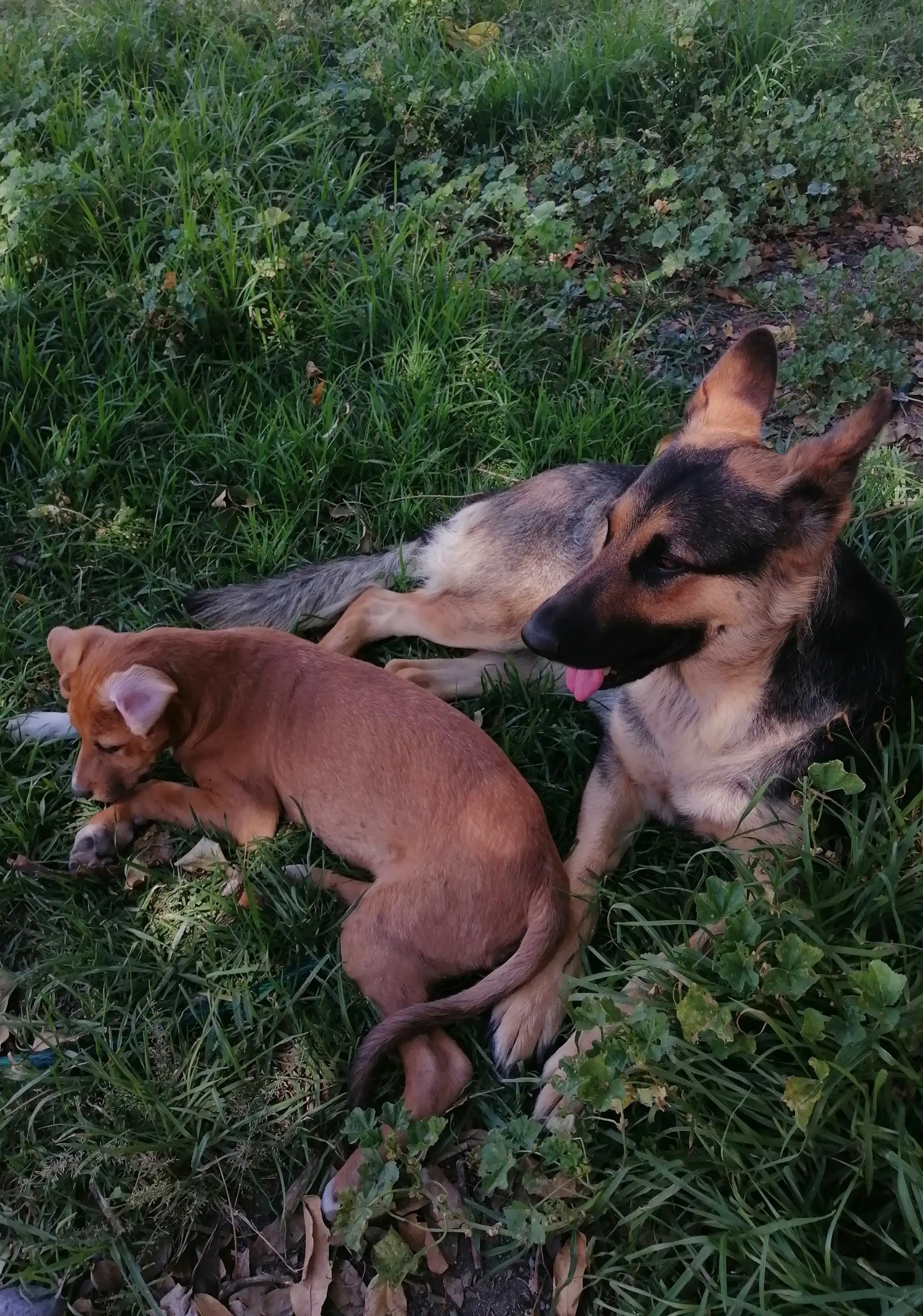 image-18