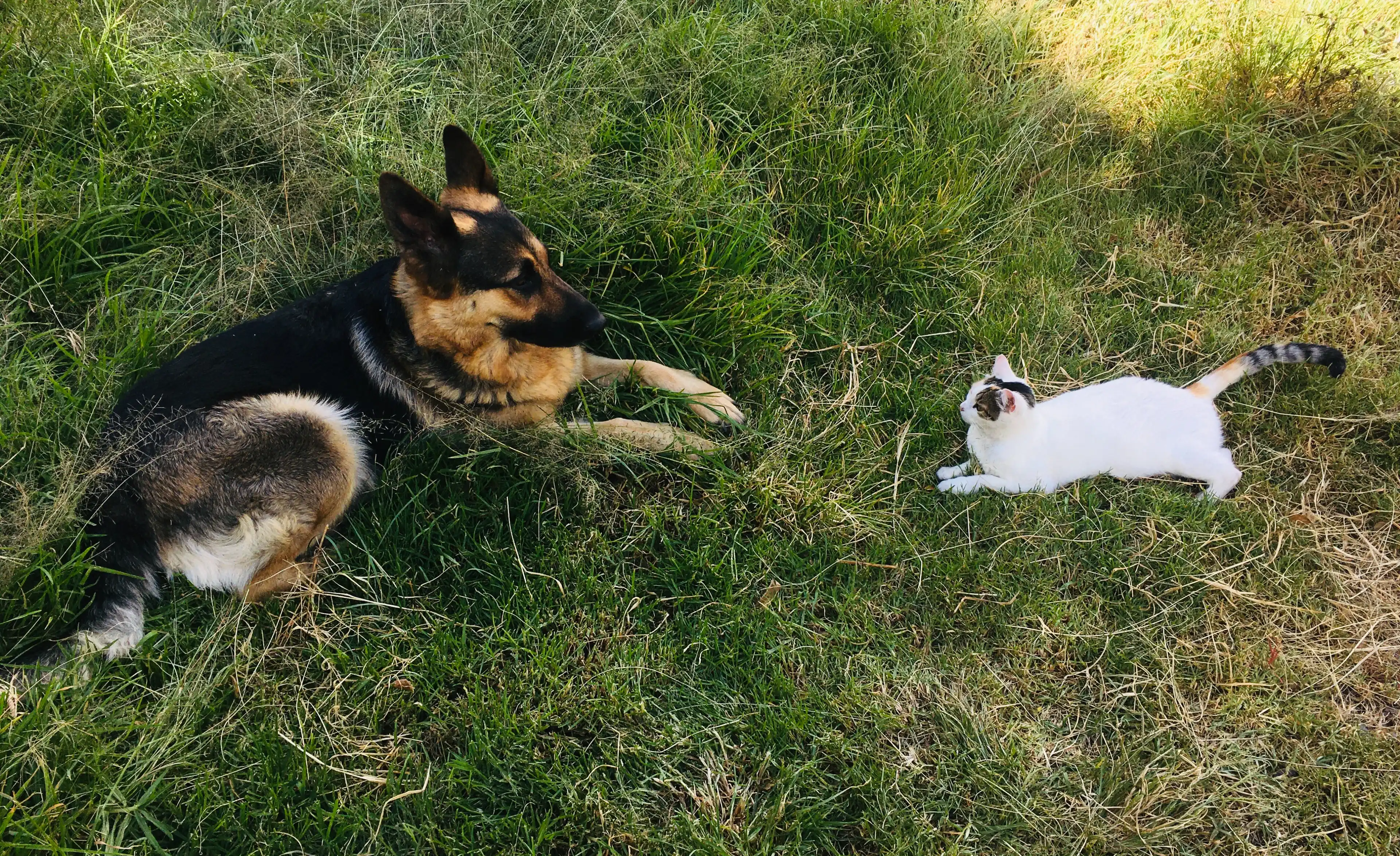 image-9