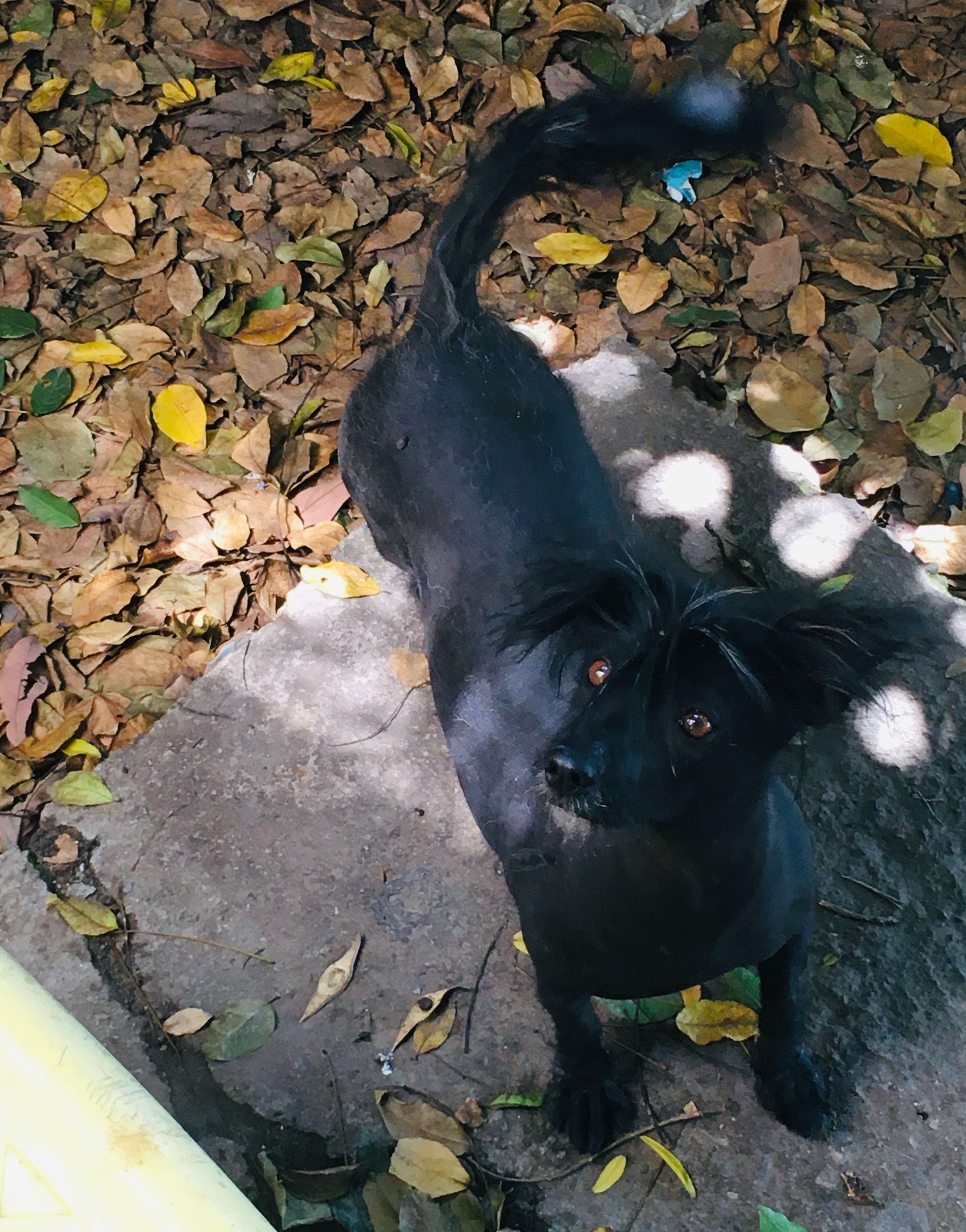 image-8