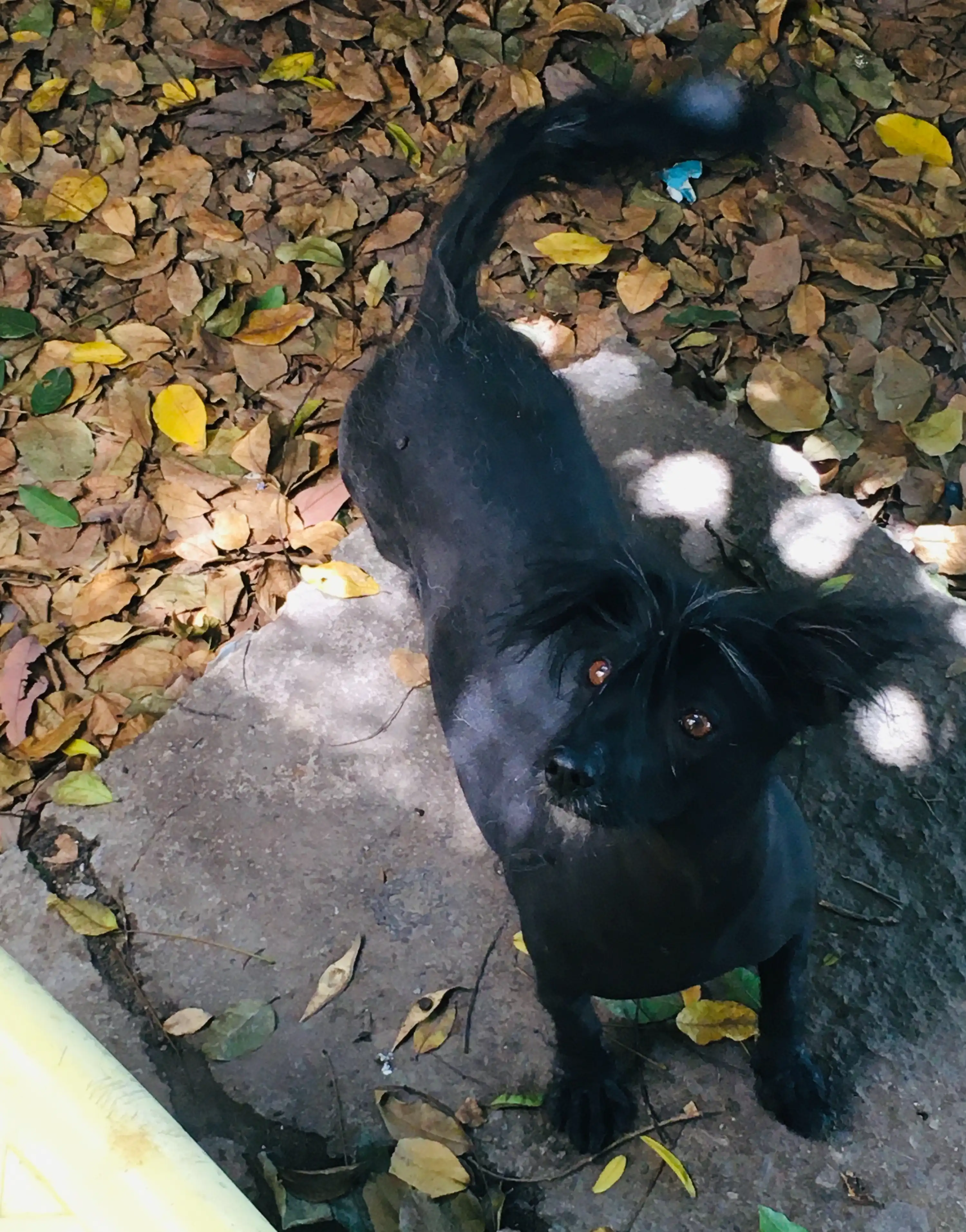 image-8