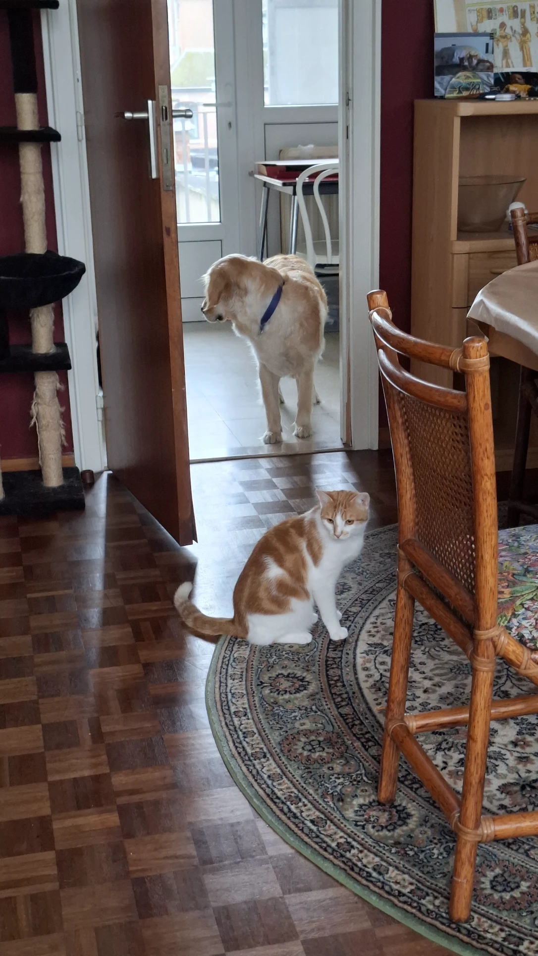image-41