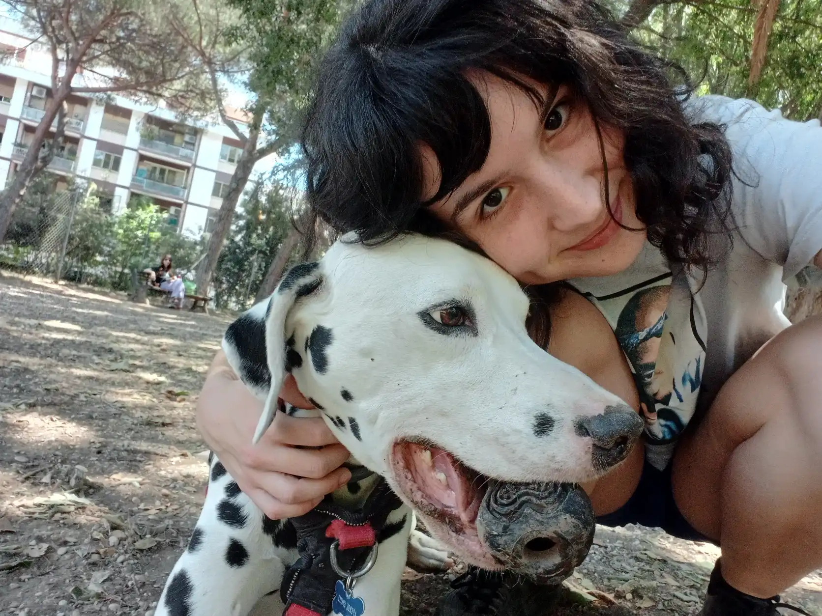 image-7