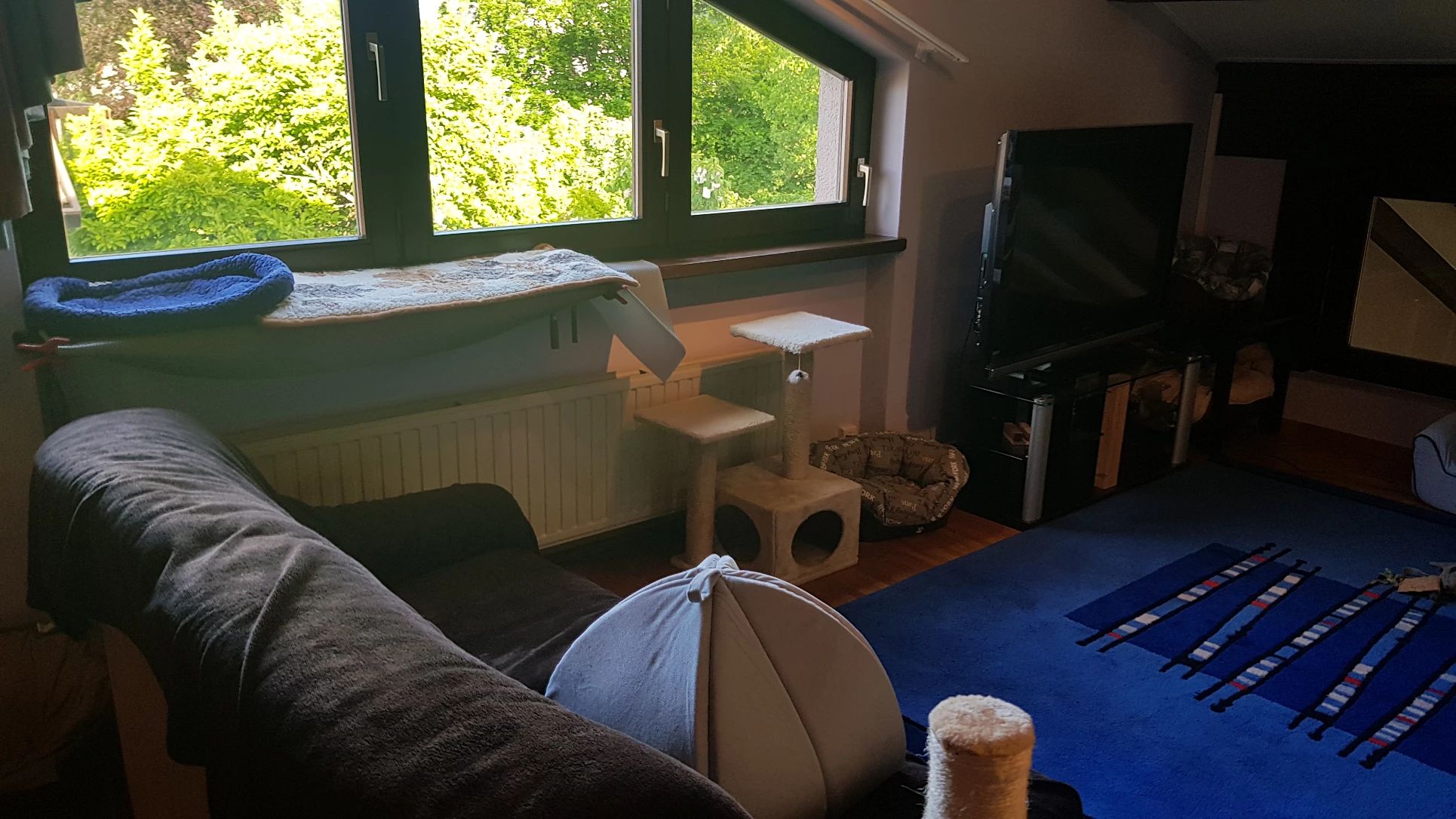 image-18