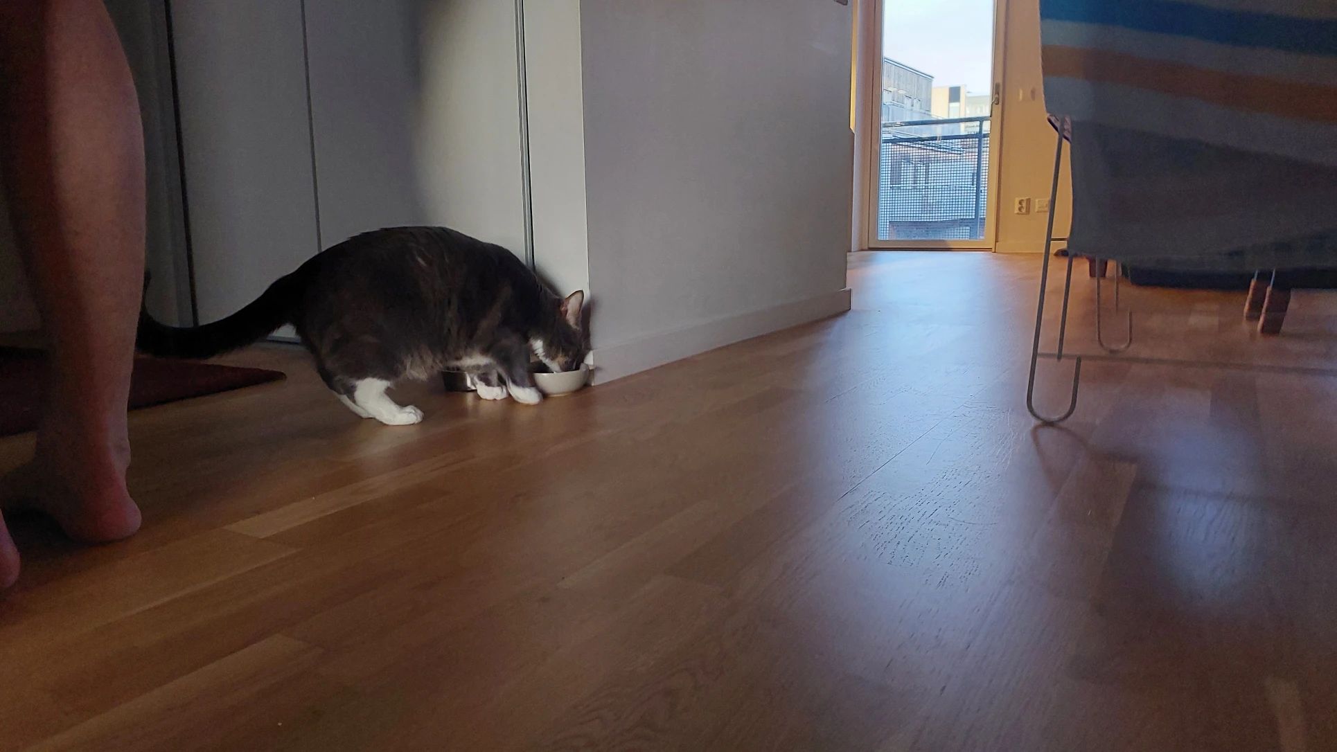 image-16