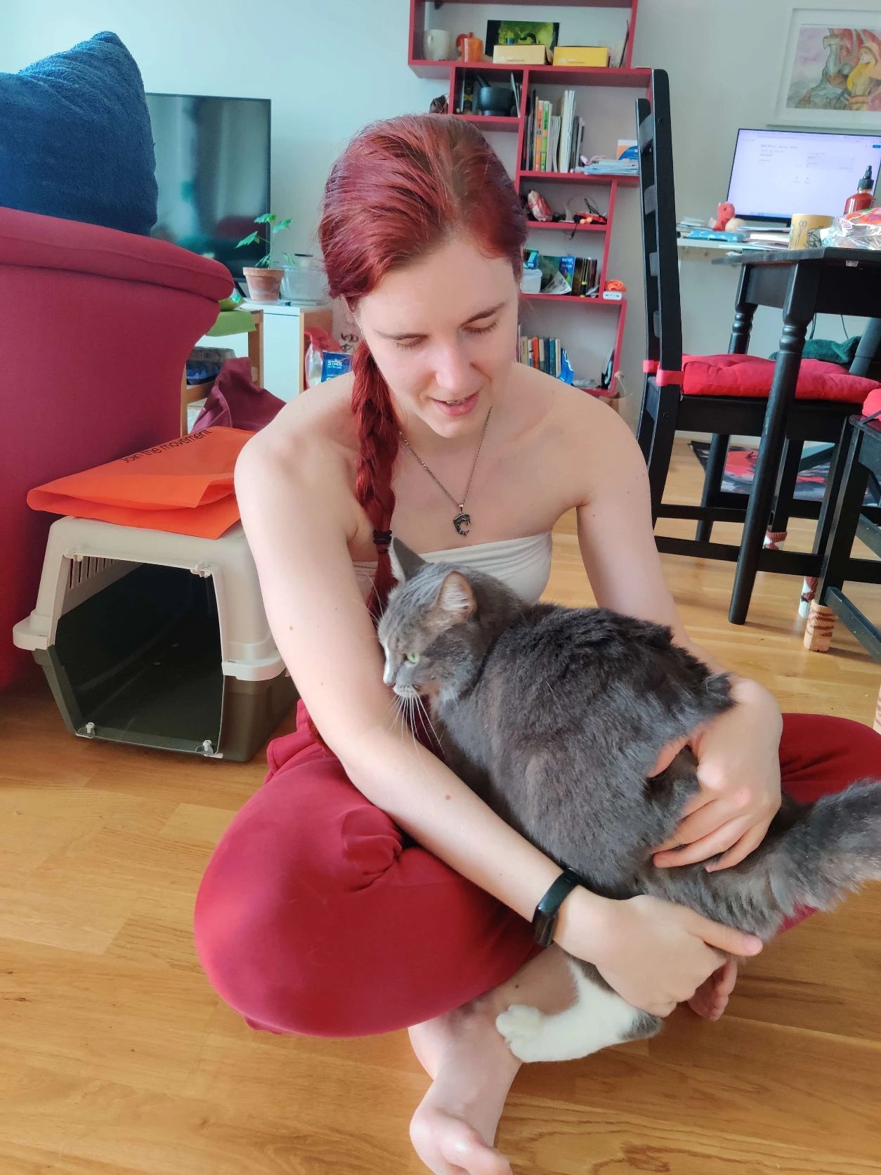 image-8