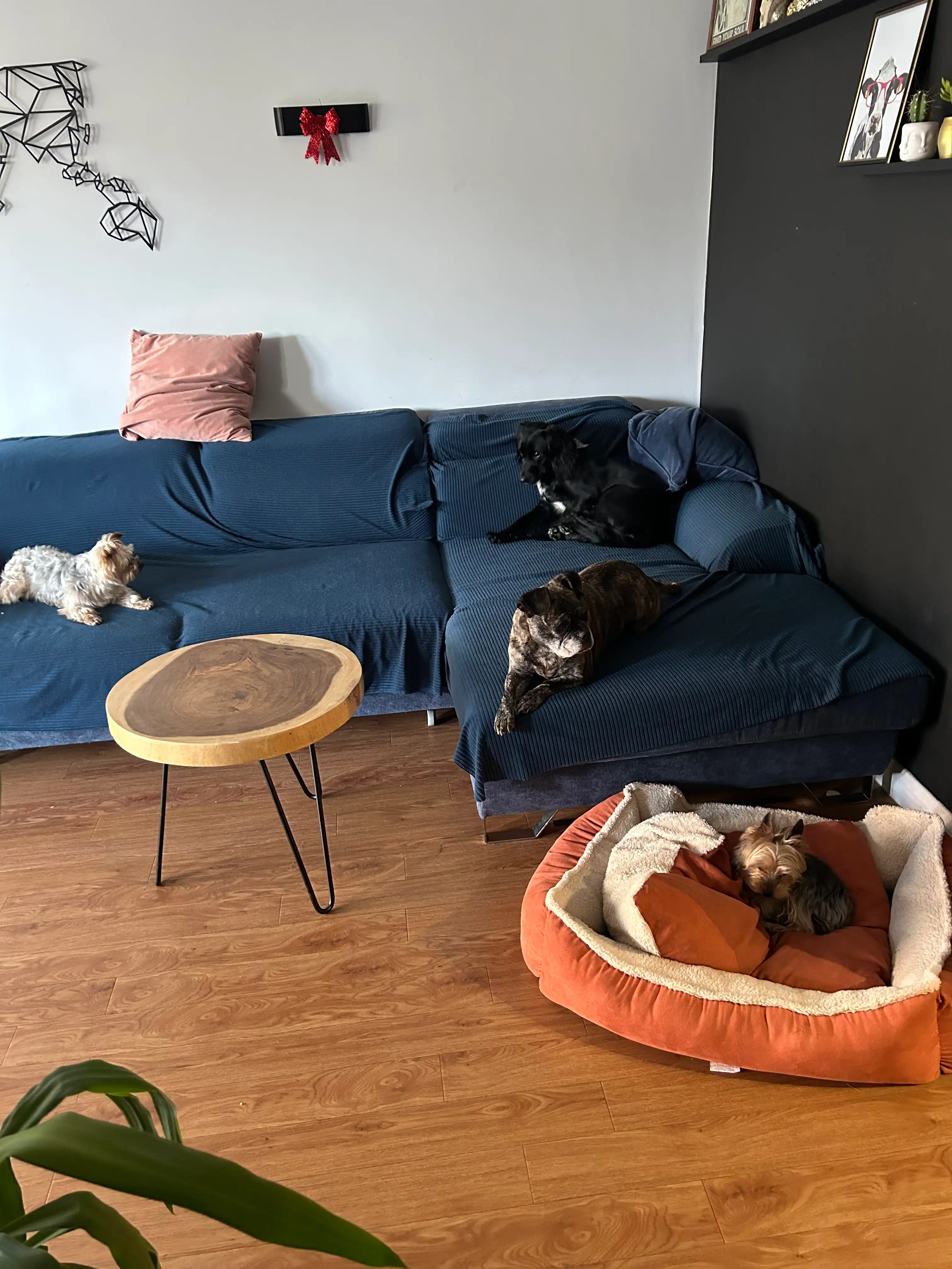 image-14