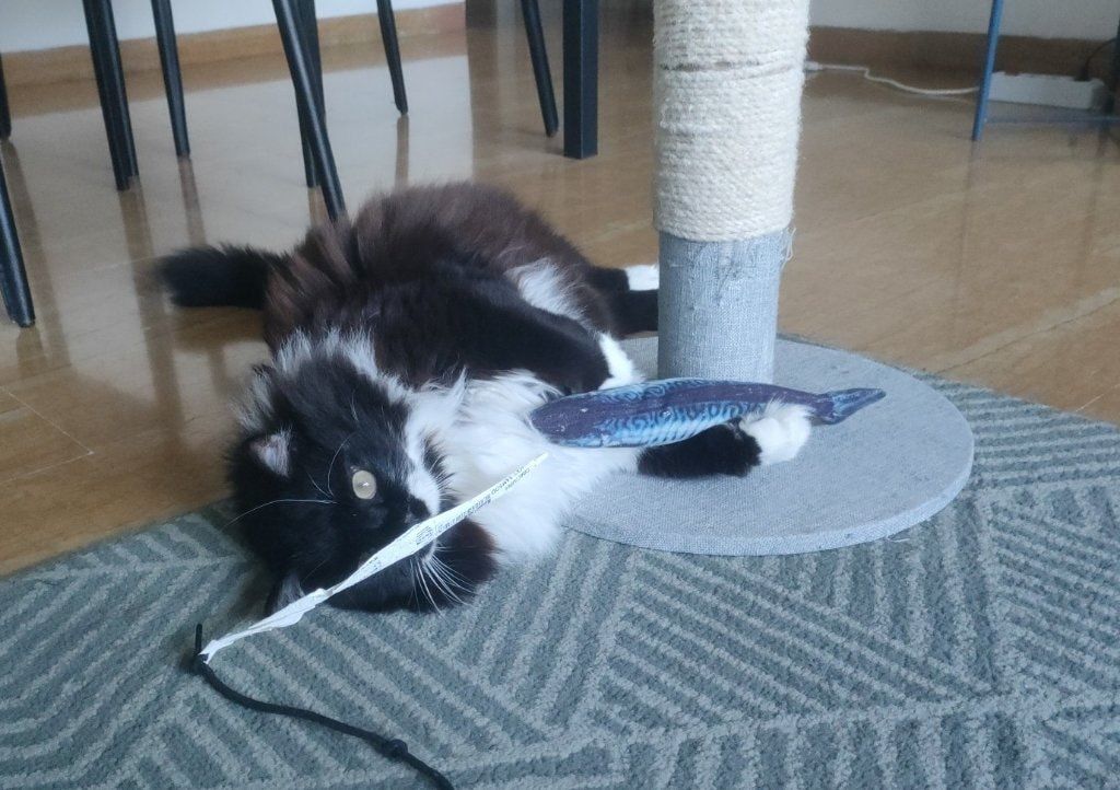 image-8