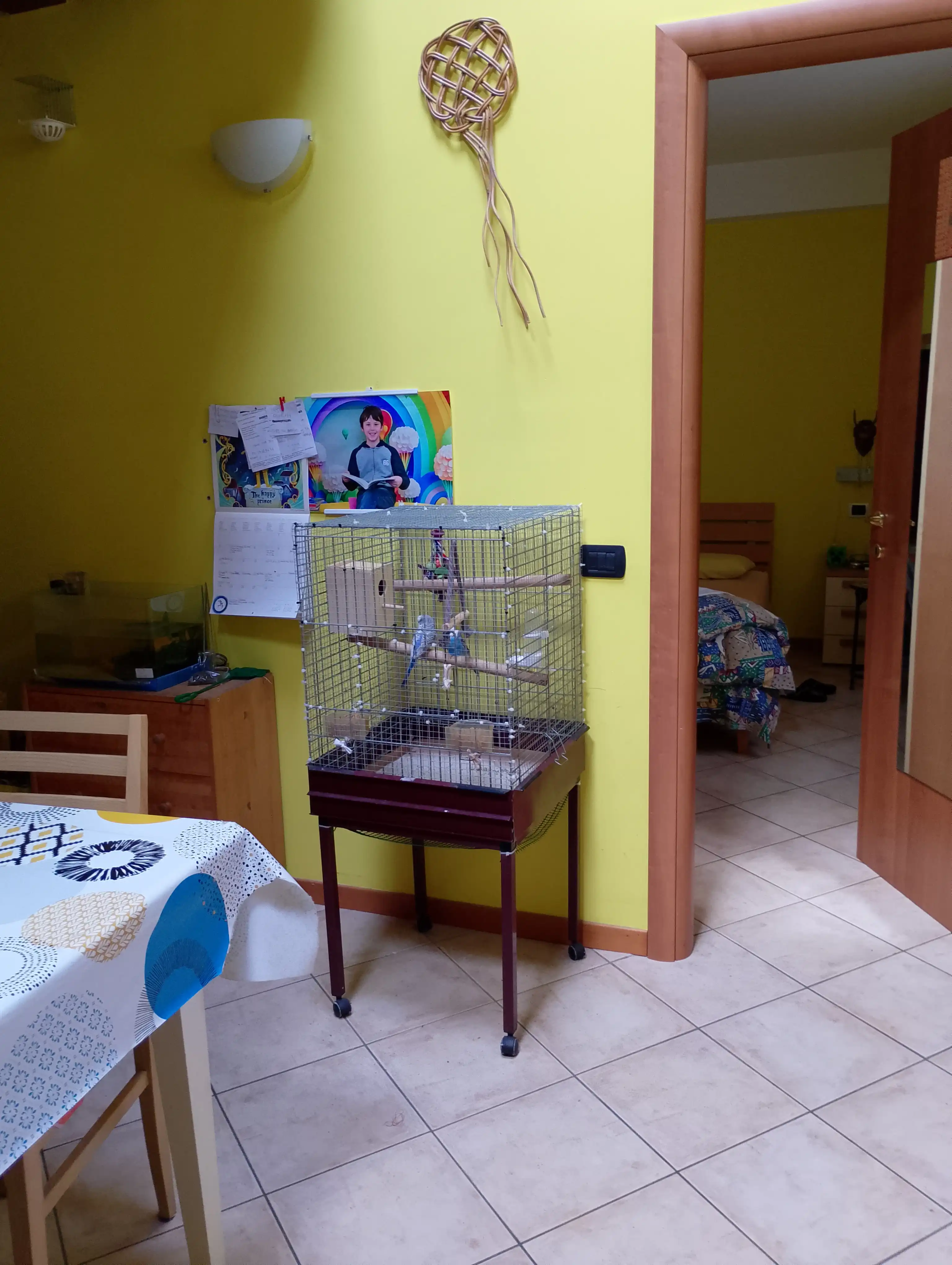 image-18