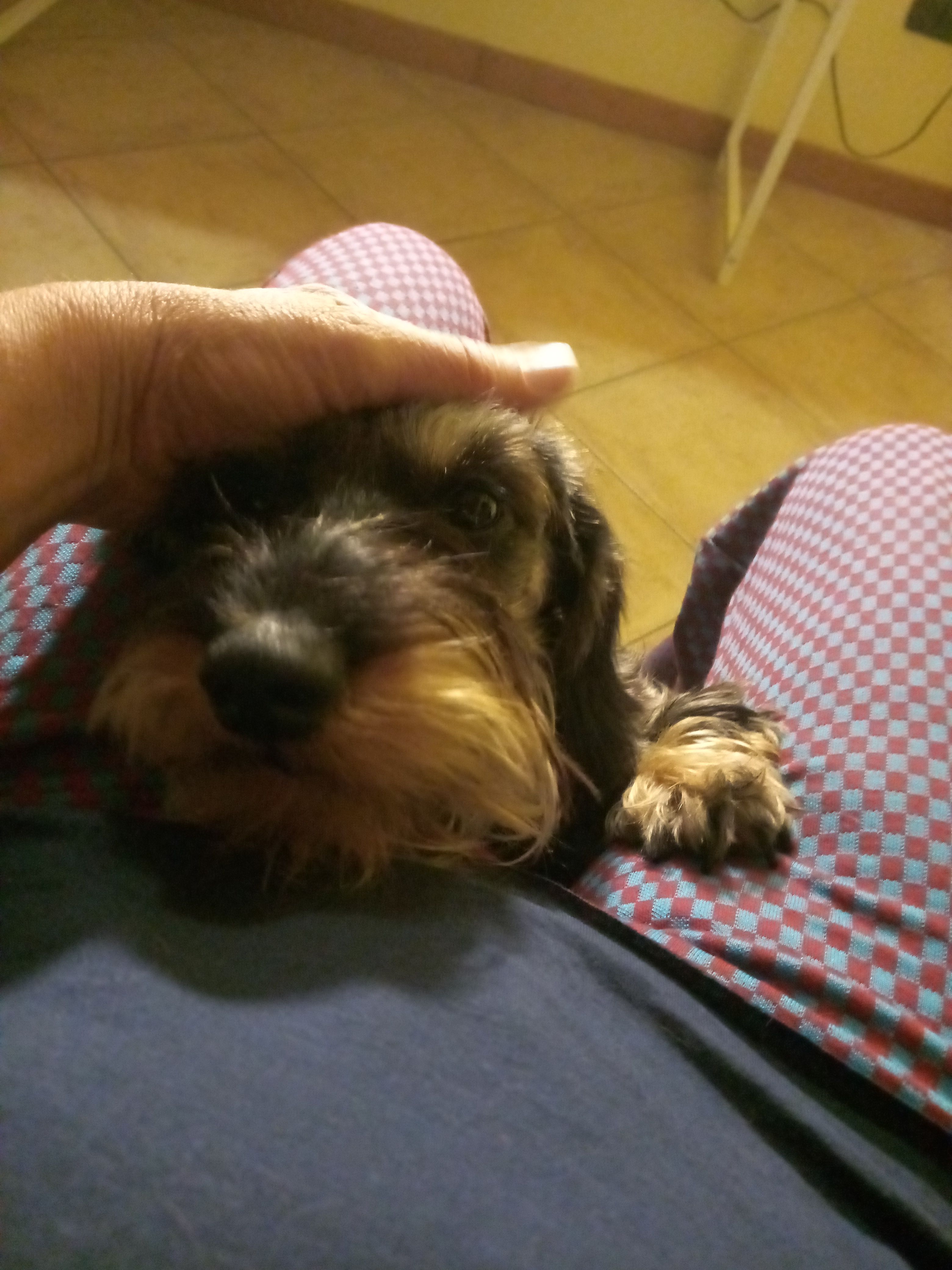 image-8