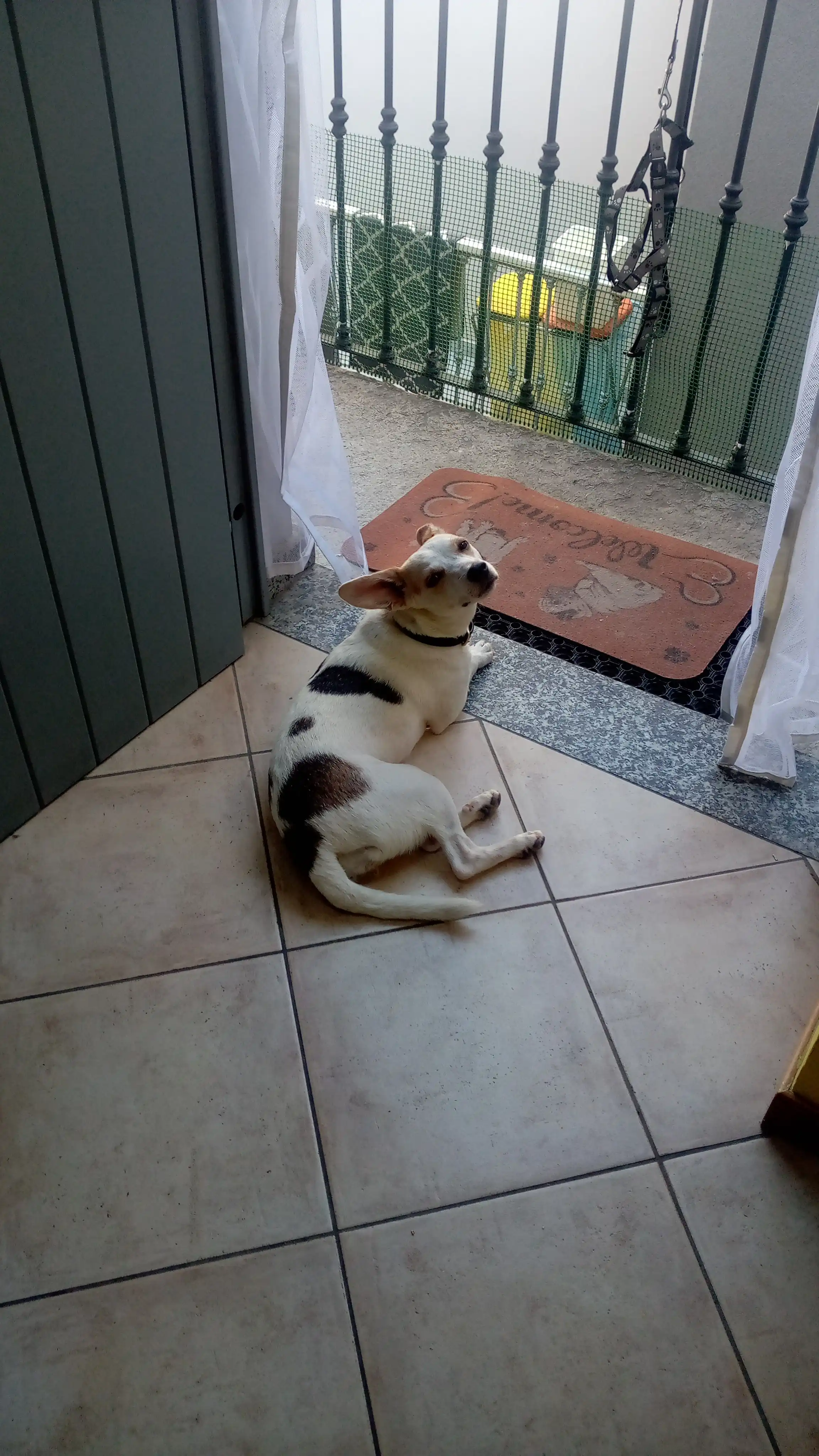 image-11