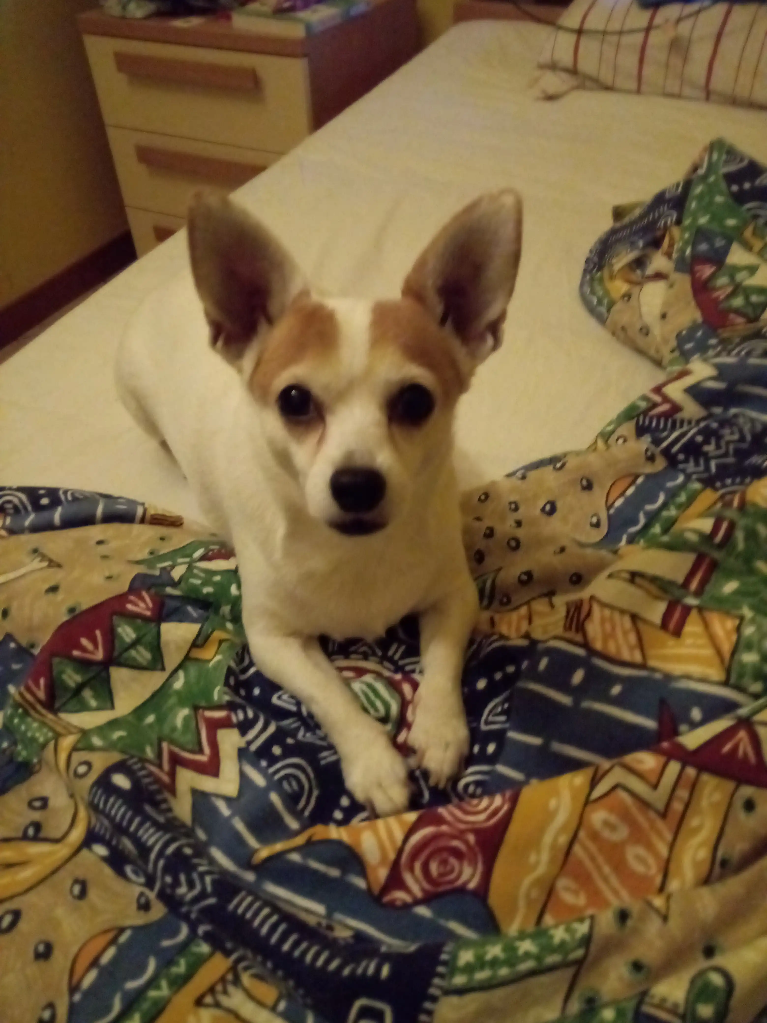 image-6