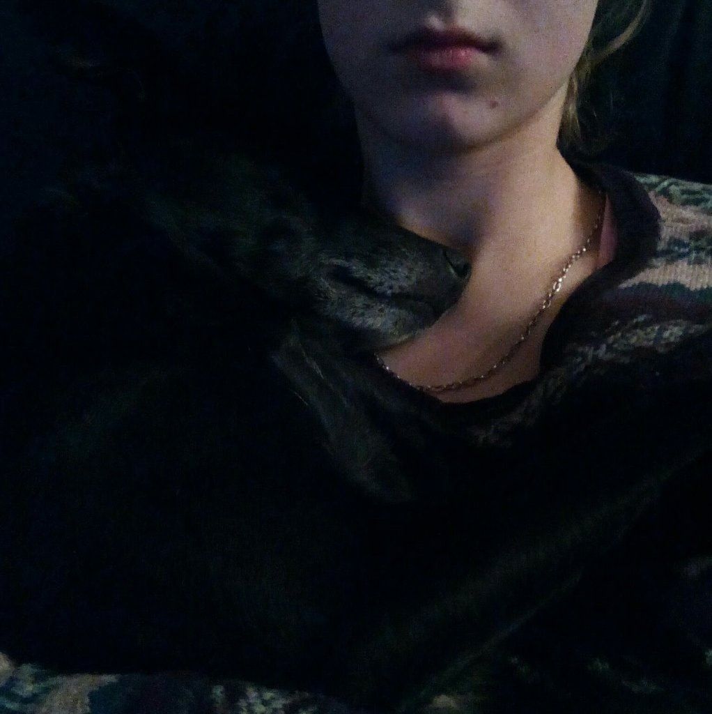 image-6