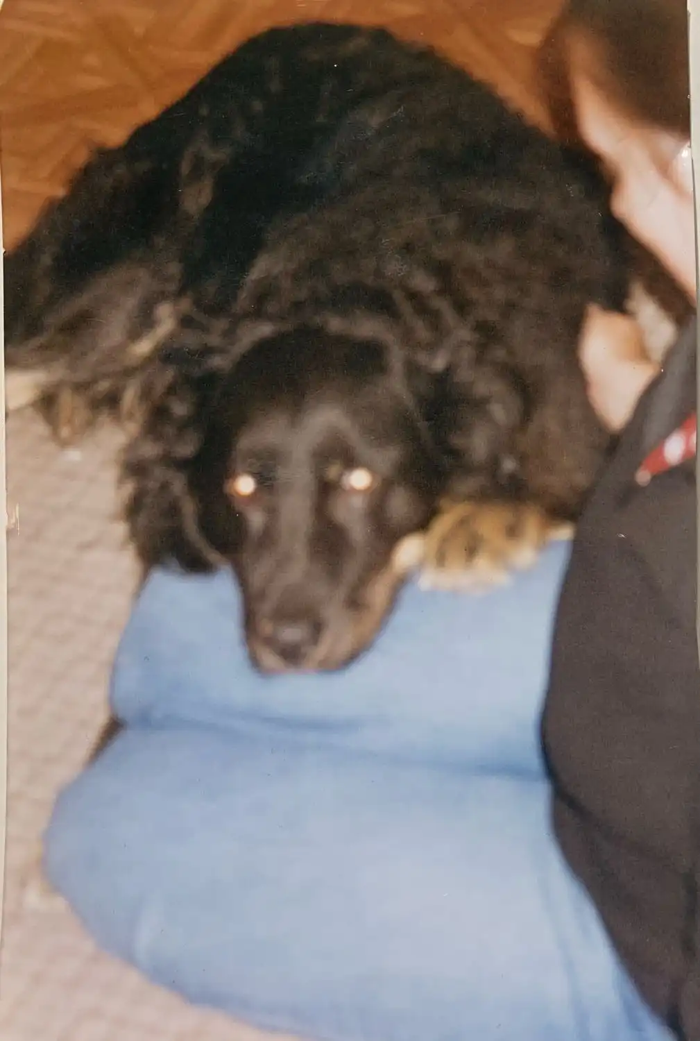 image-8