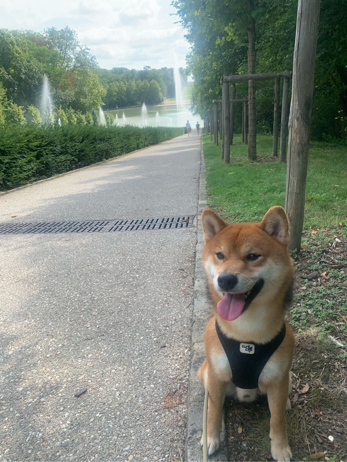 image-6