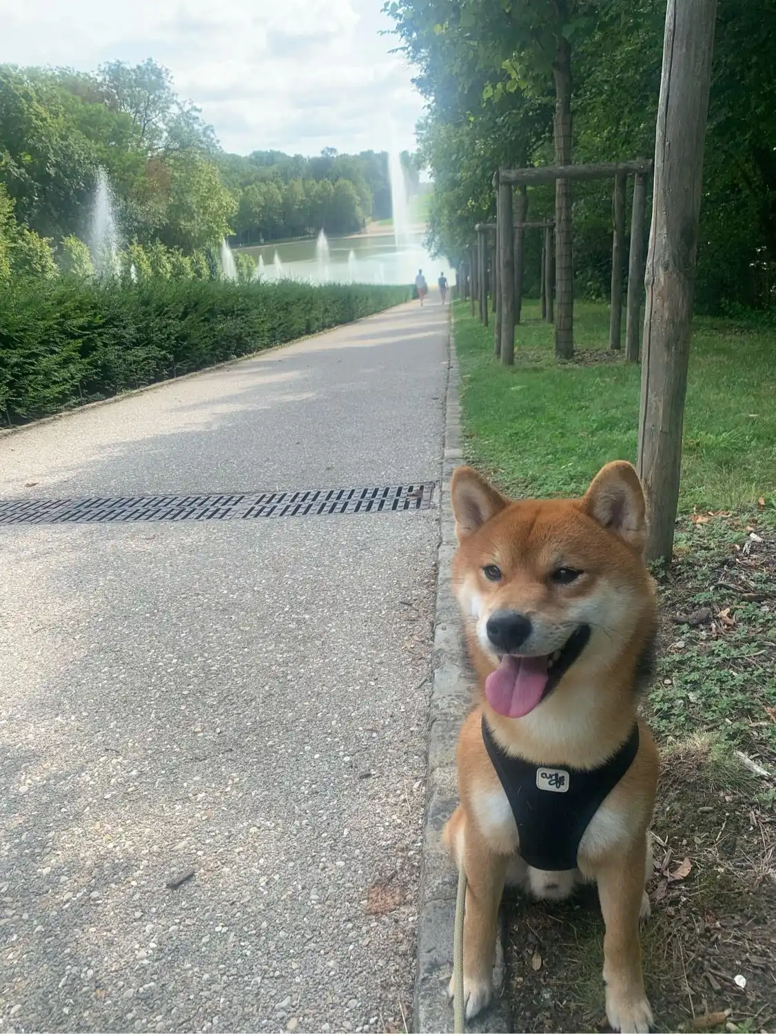 image-6