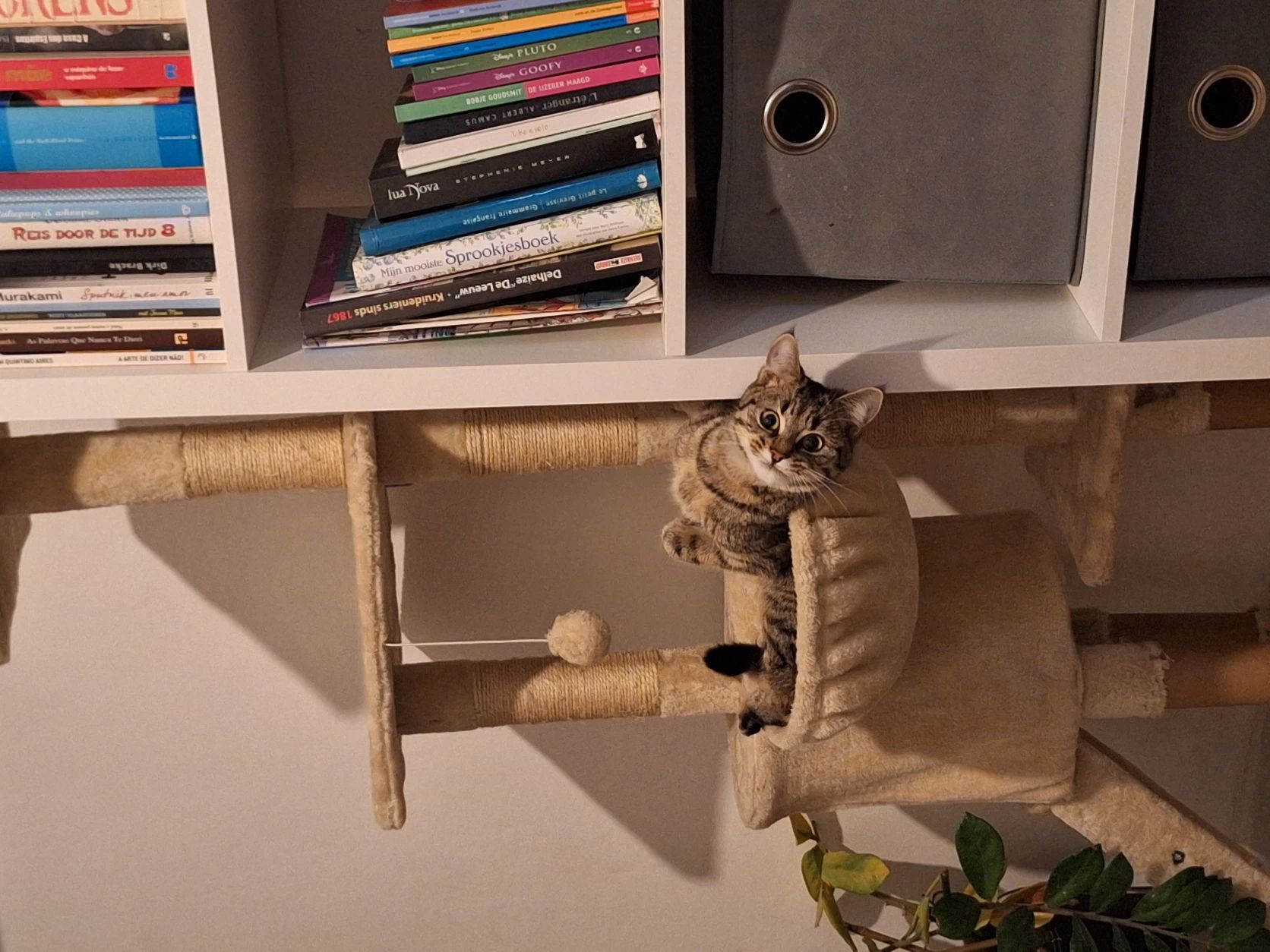 image-9