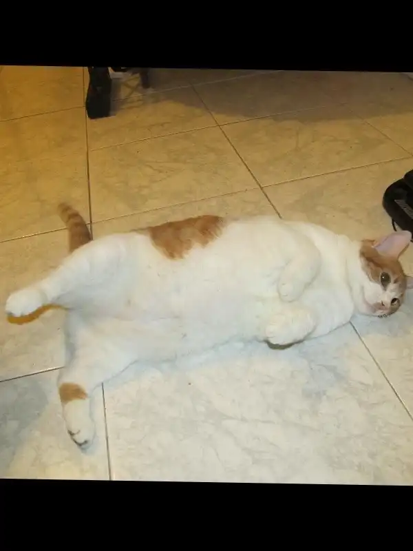 image-27