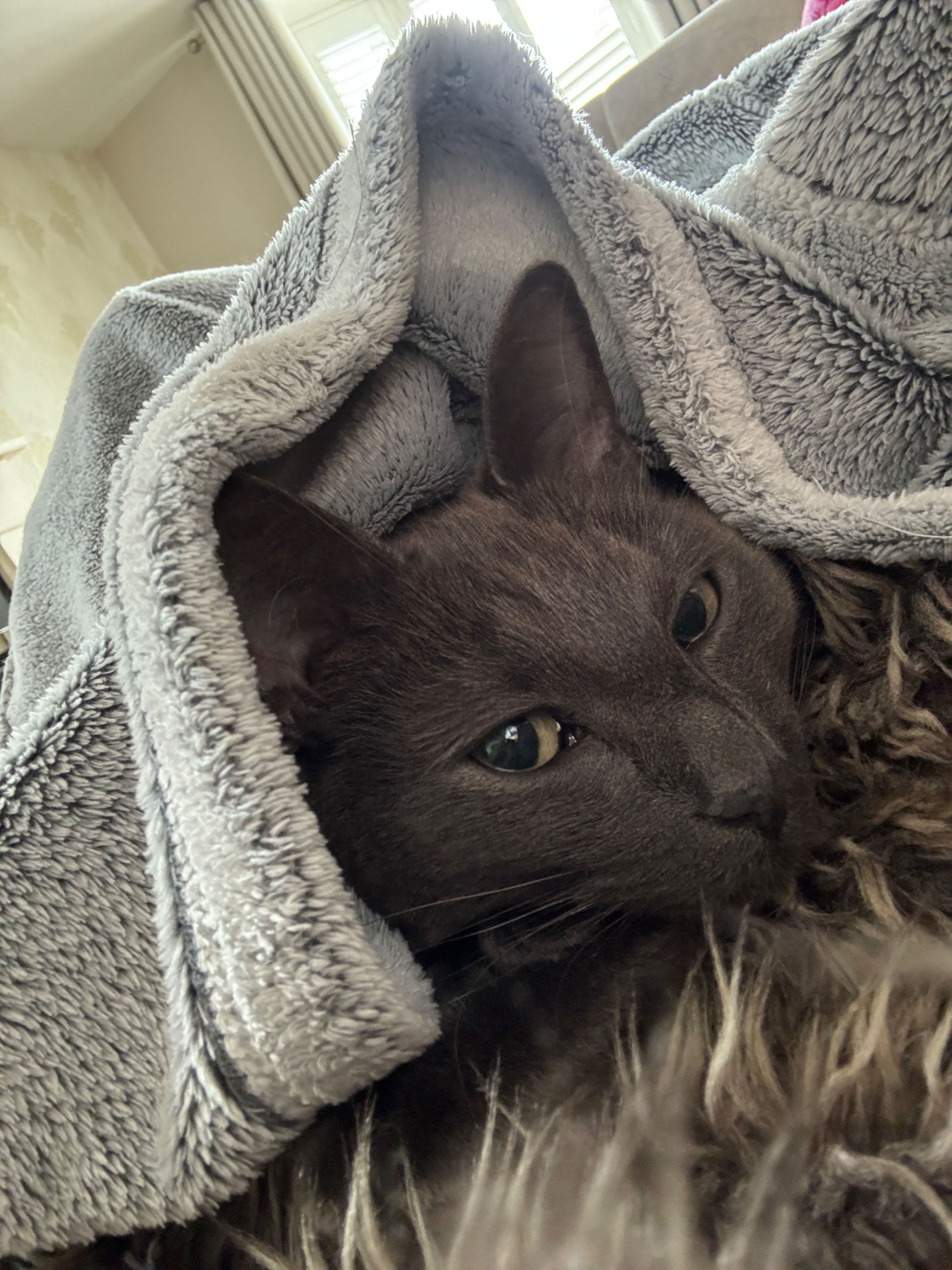 image-6