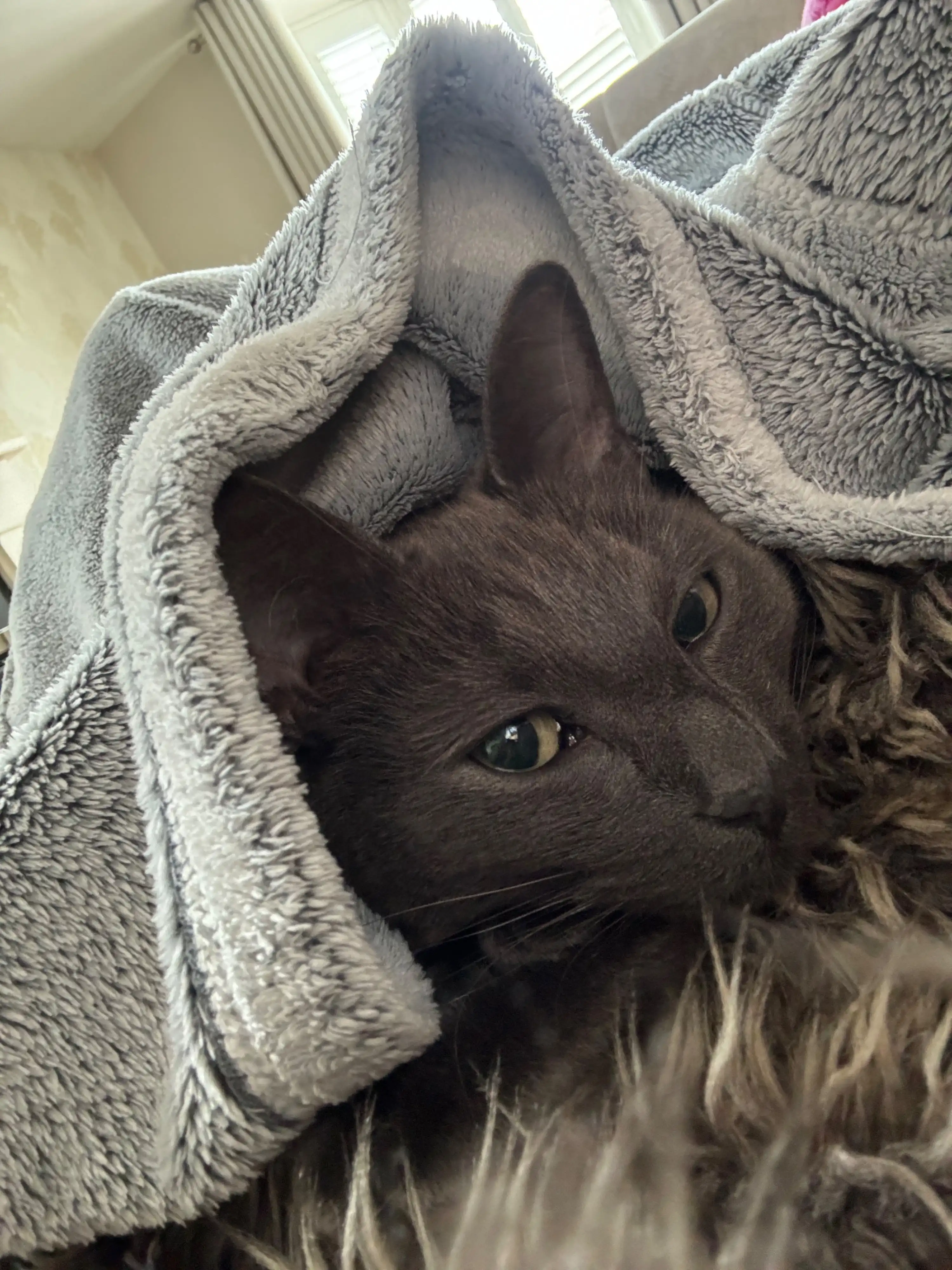 image-6