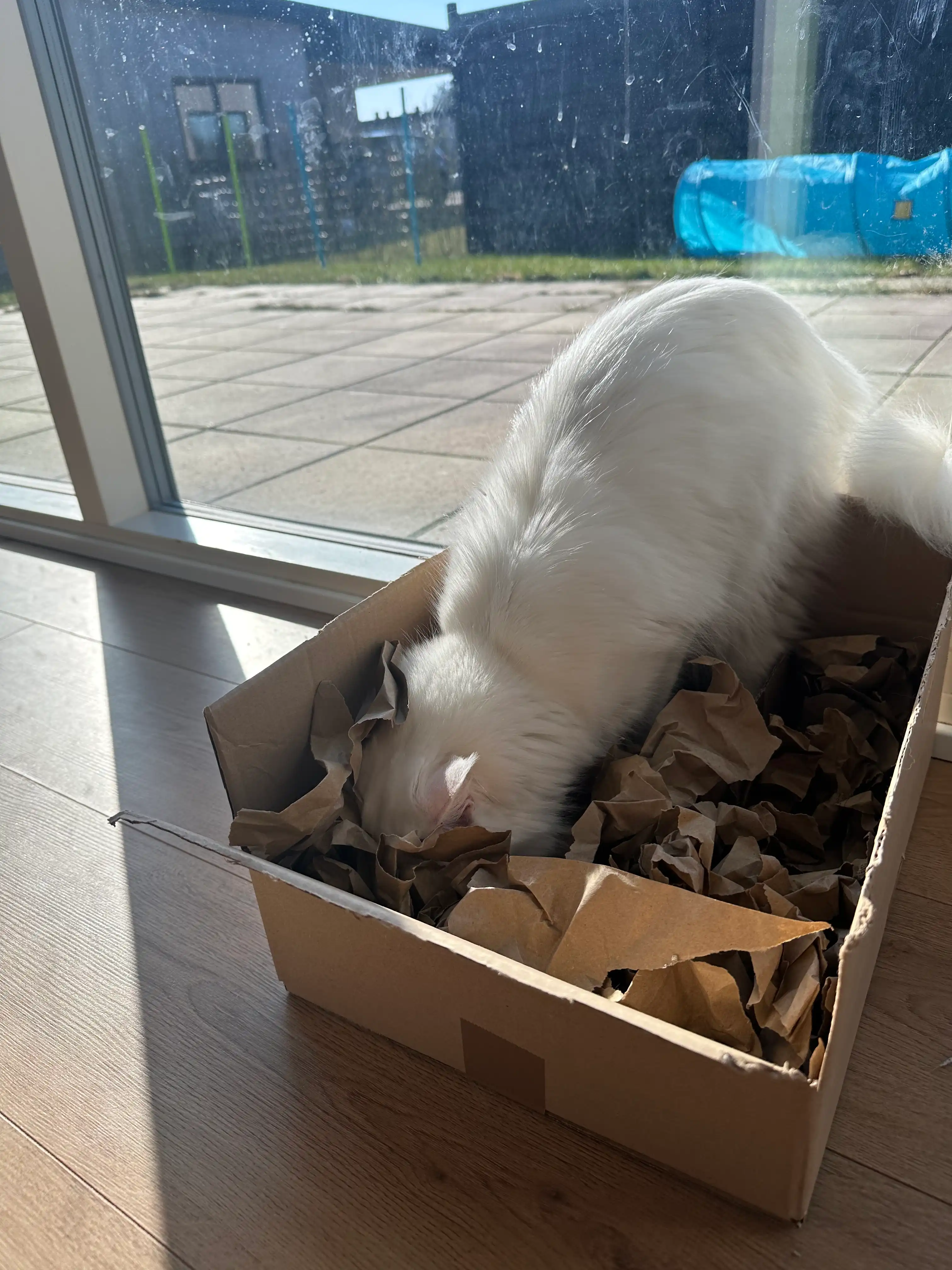 image-6