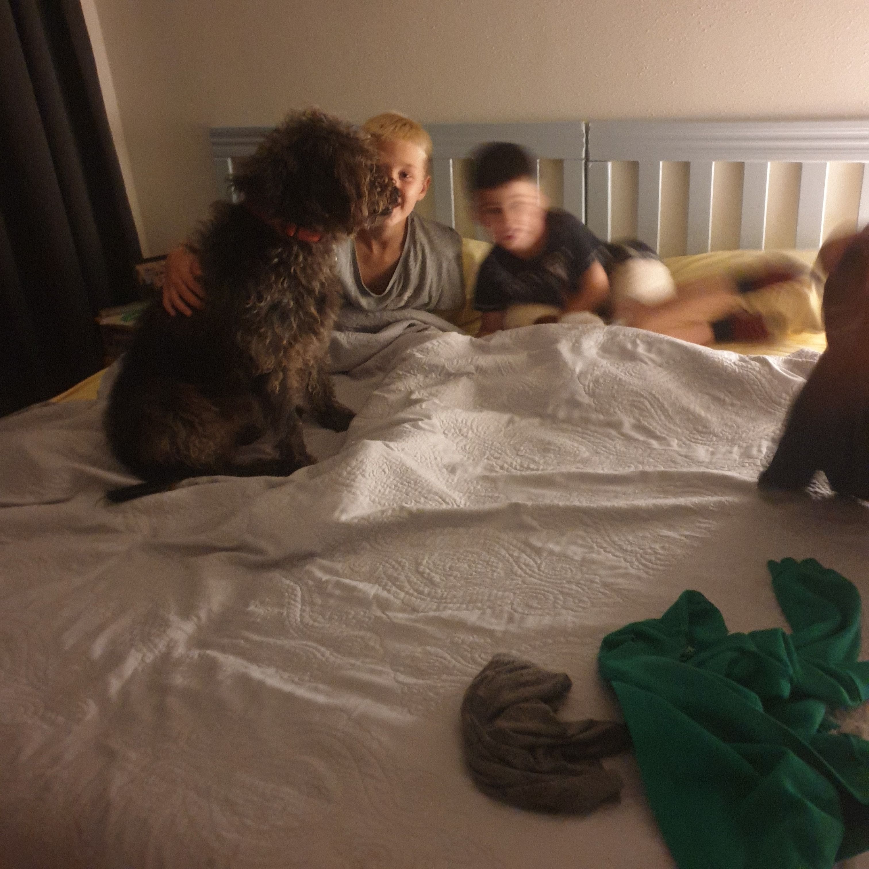 image-16