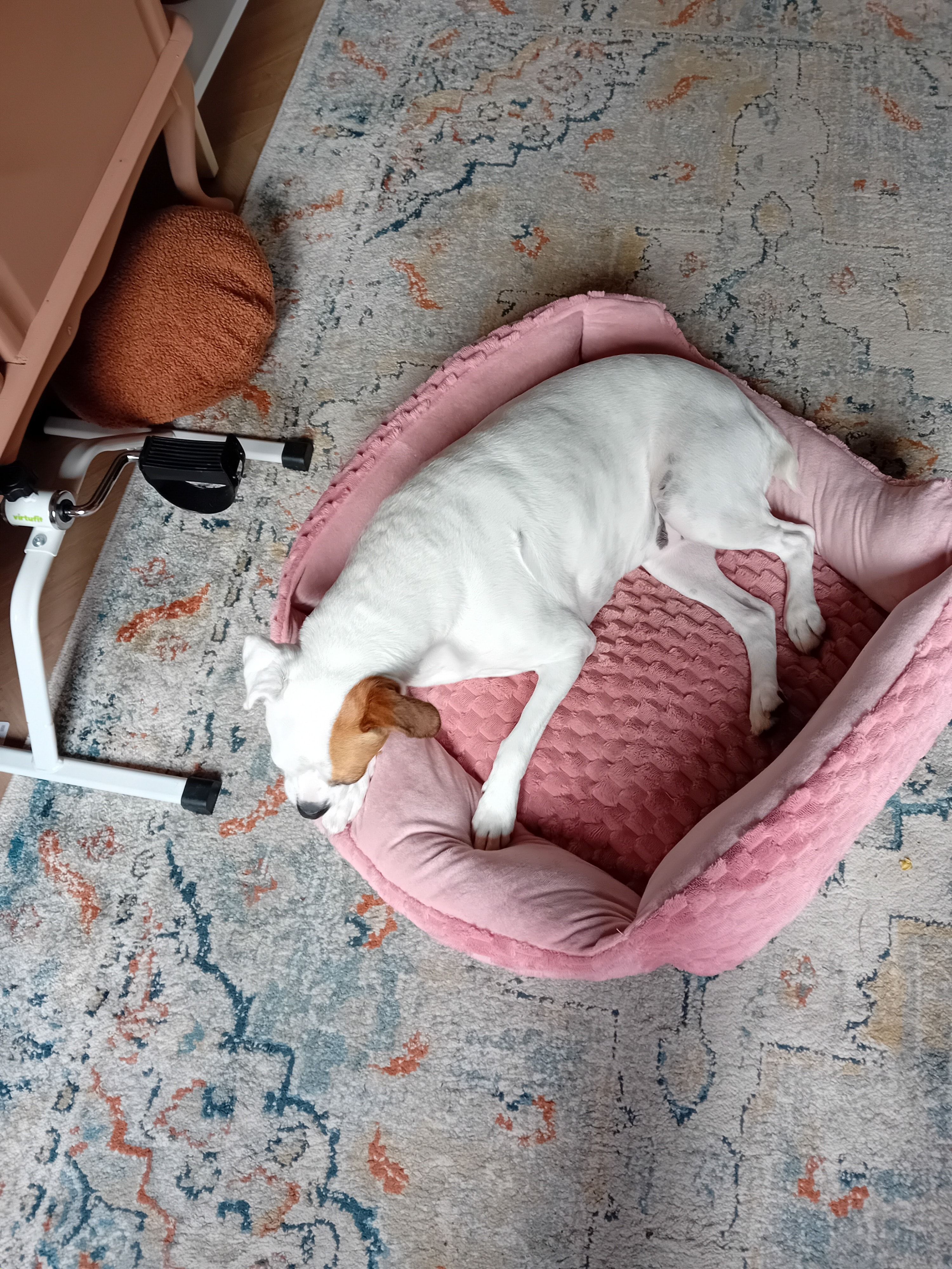 image-9