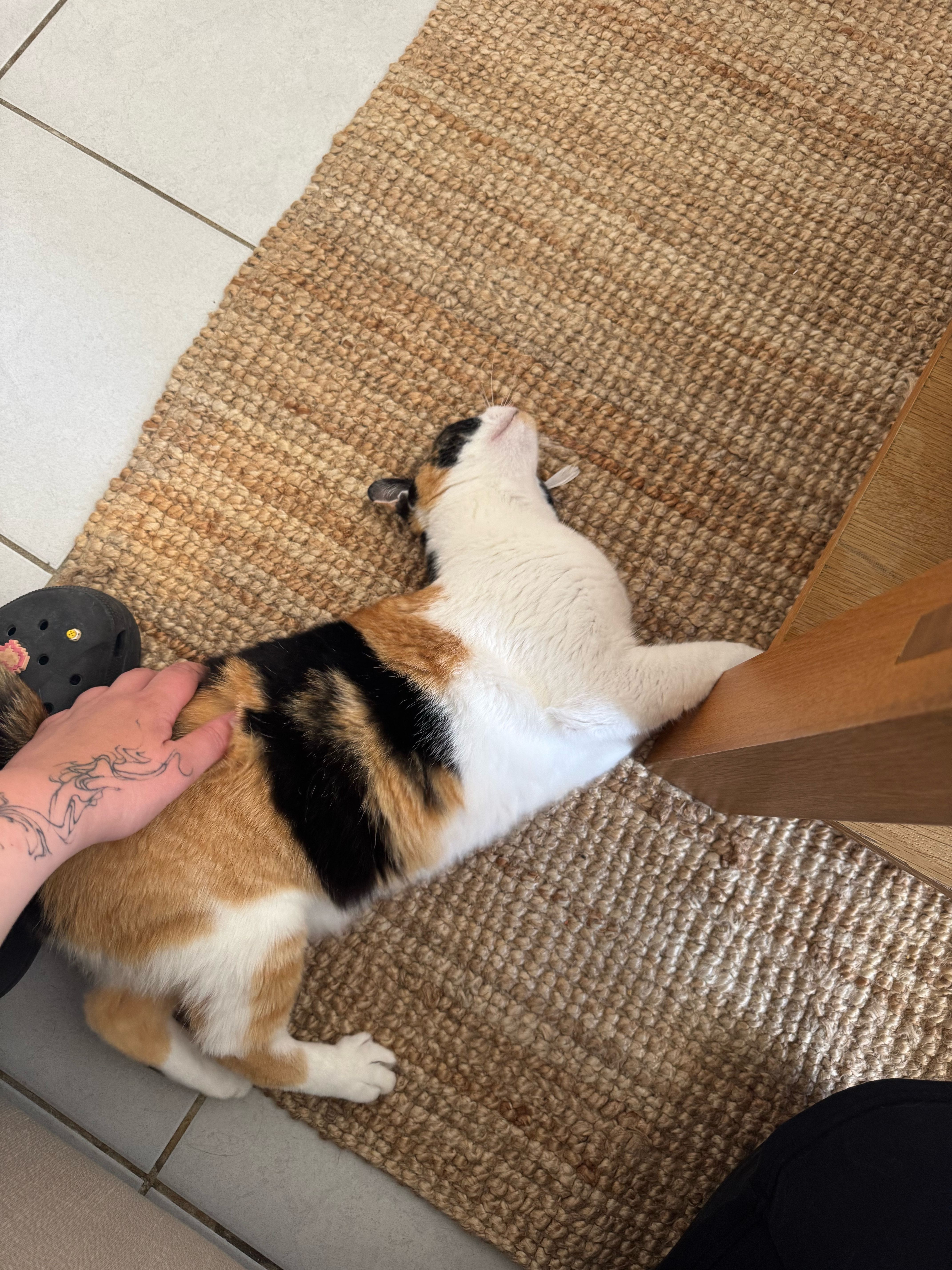 image-12