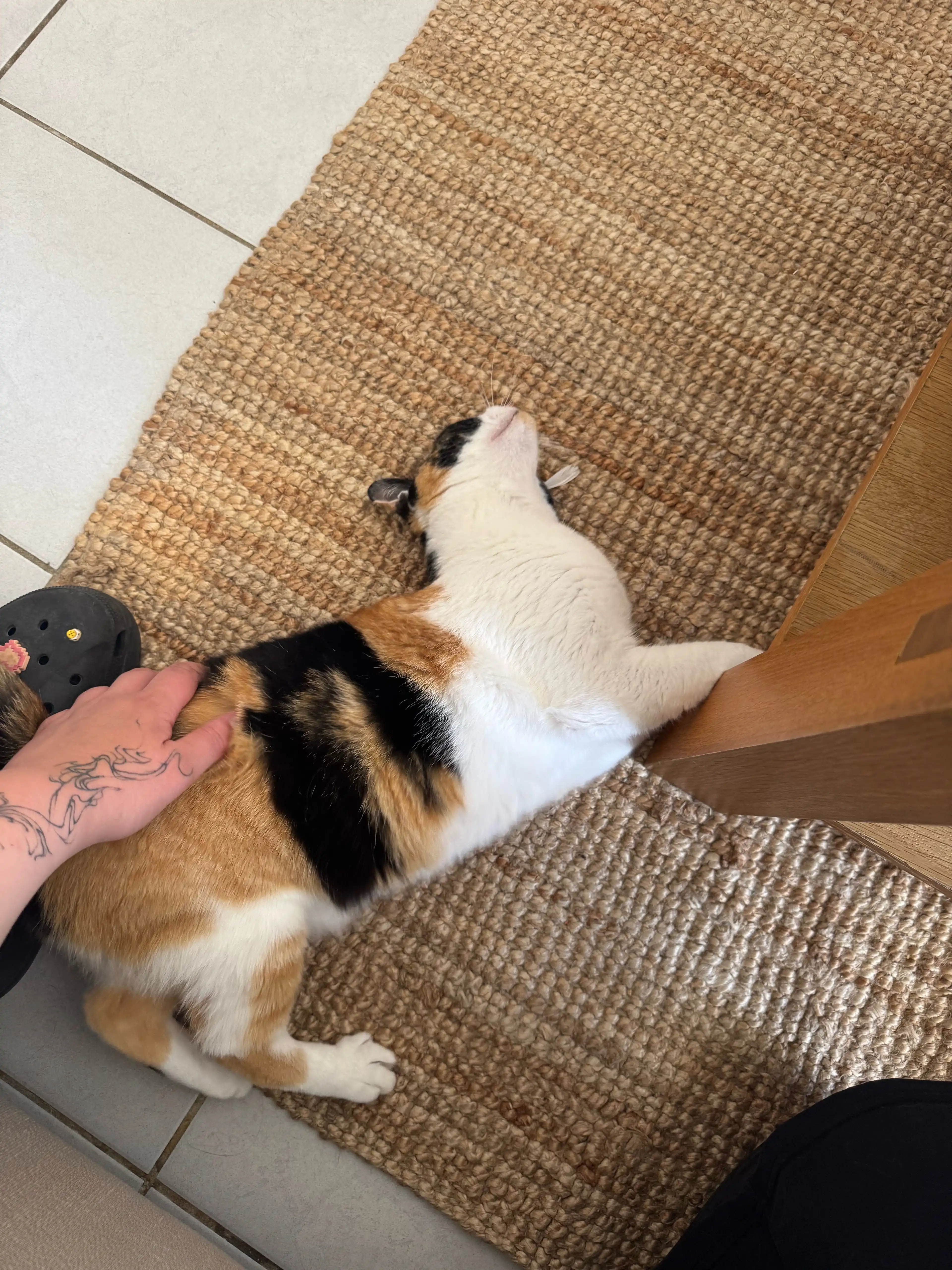 image-12