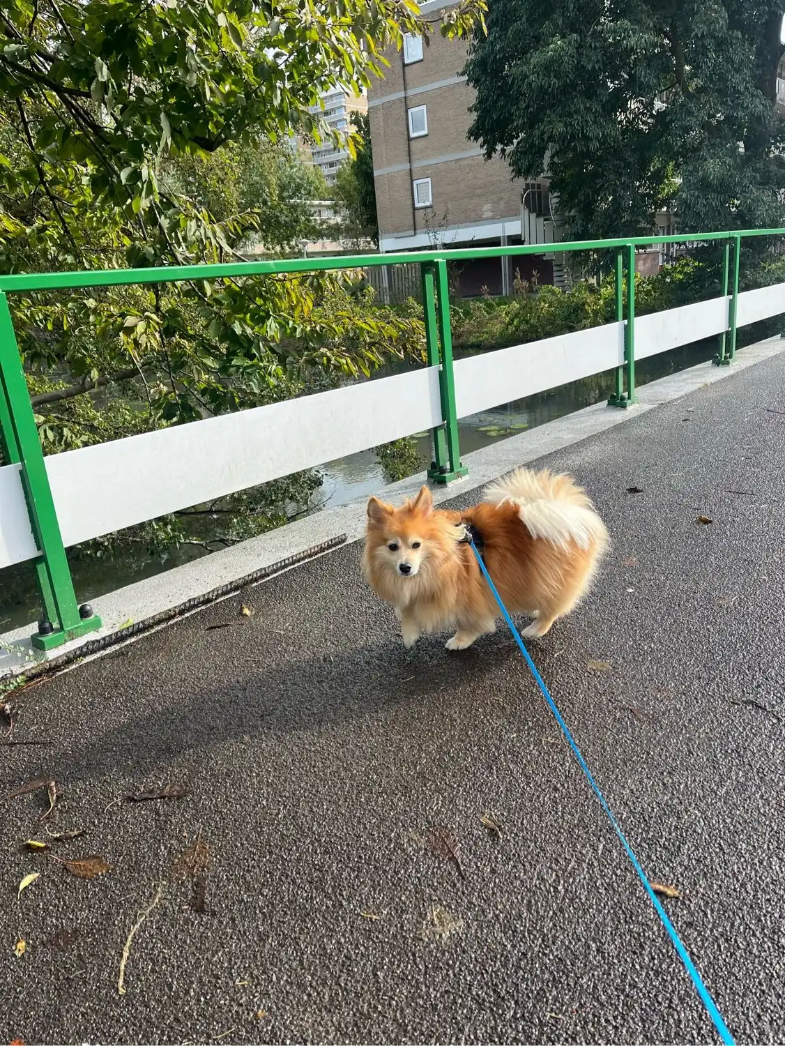image-9