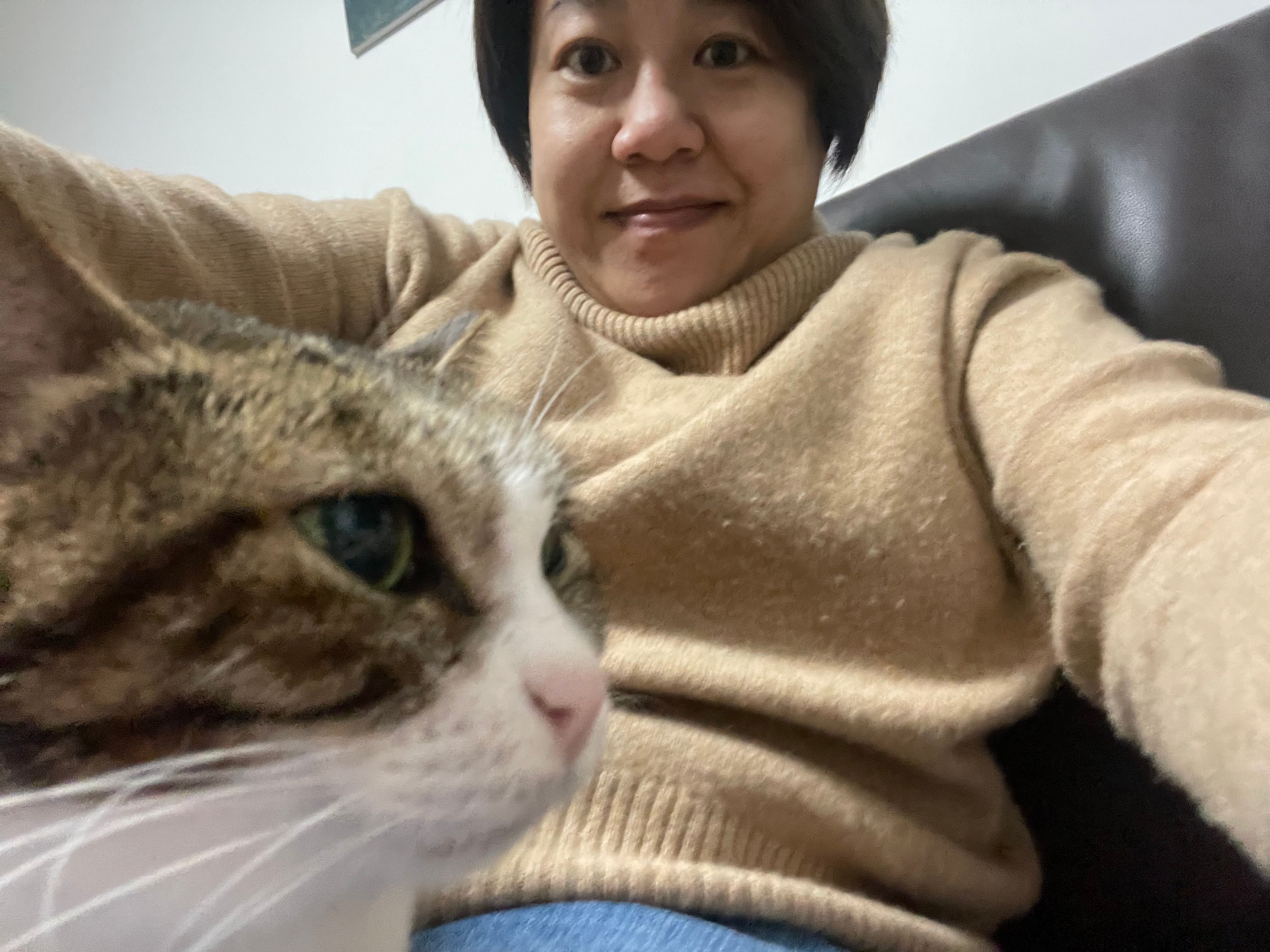image-6