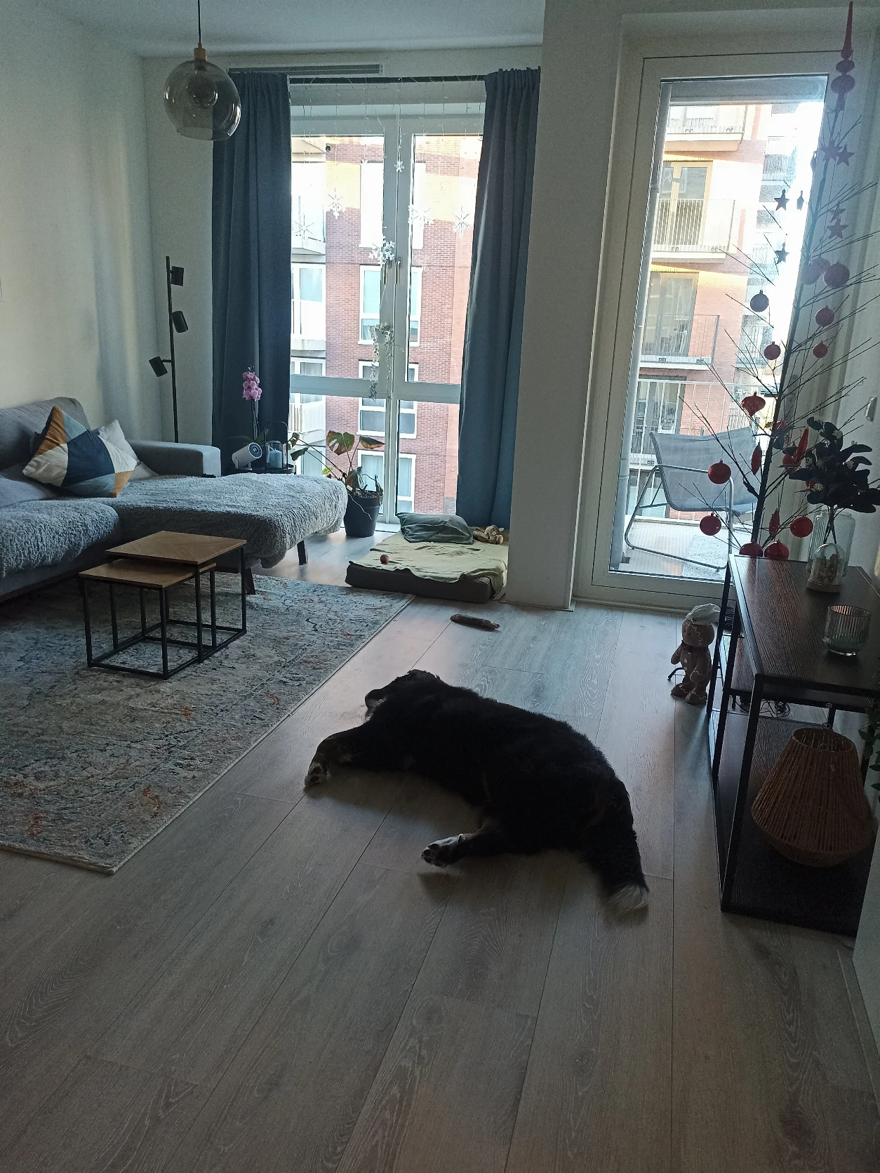 image-10