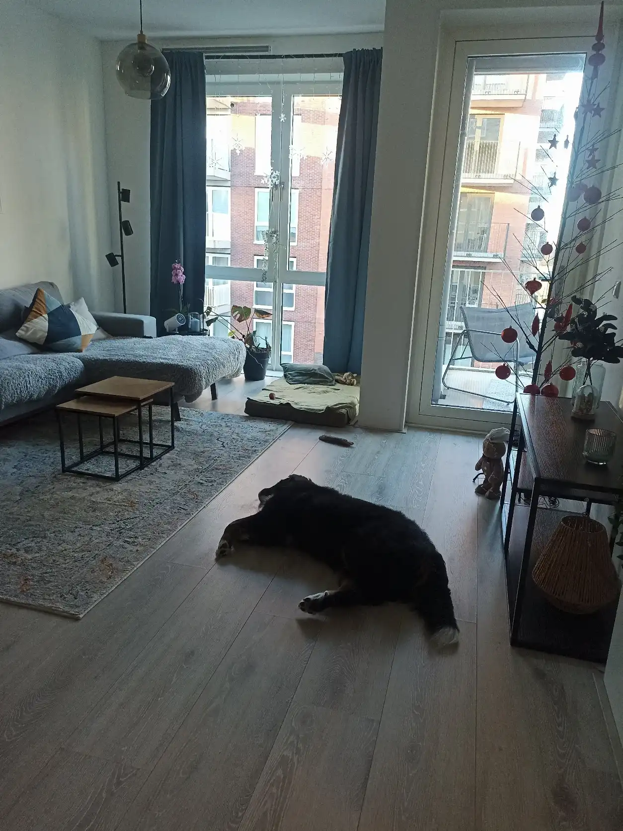 image-10