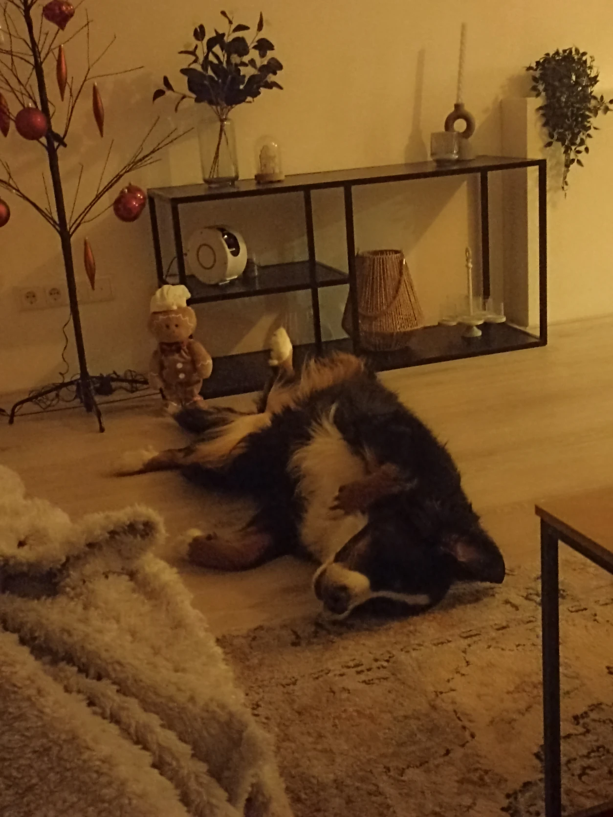 image-13